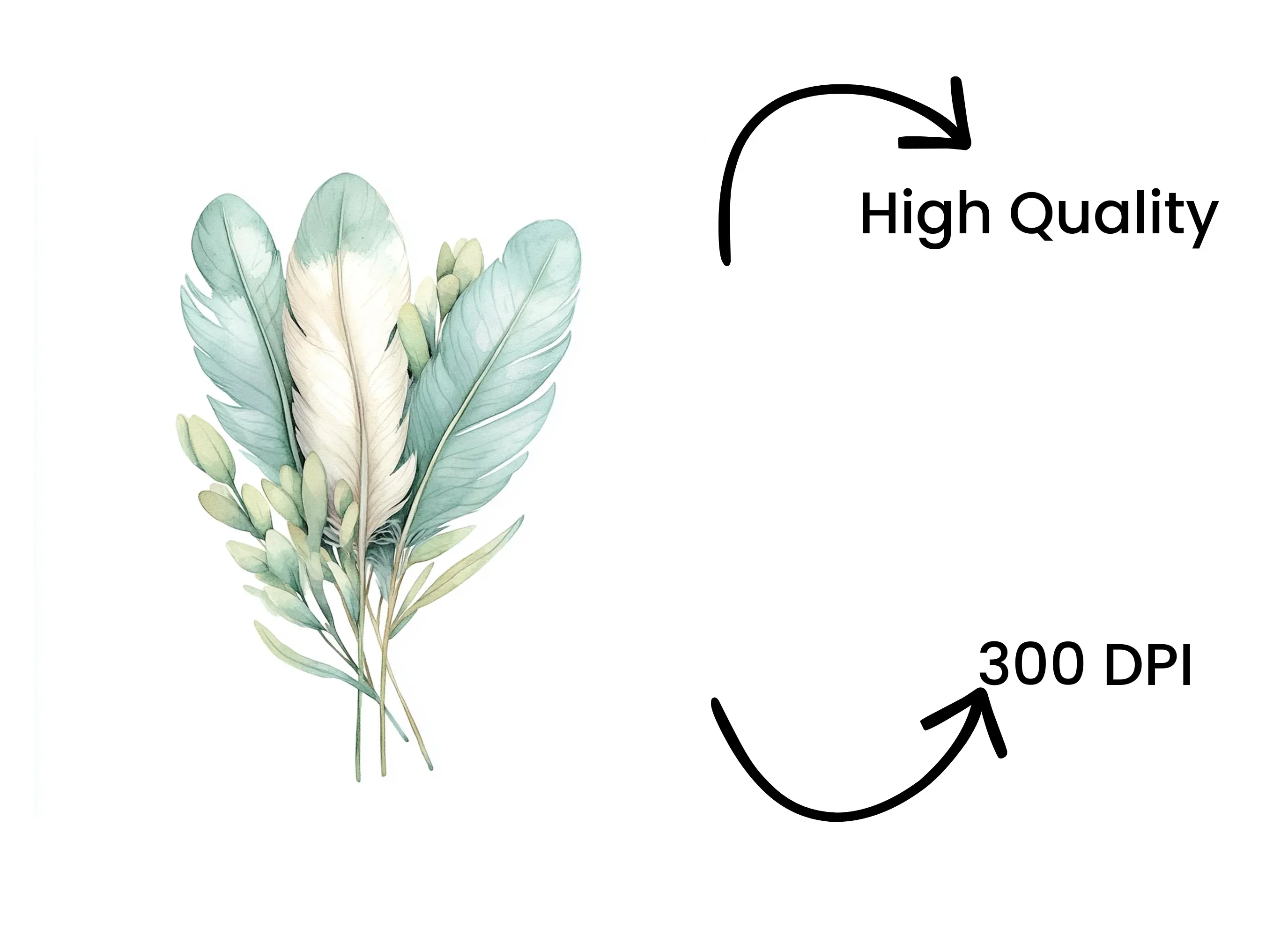 Feathers Greenery Clipart Bundle - Image 4