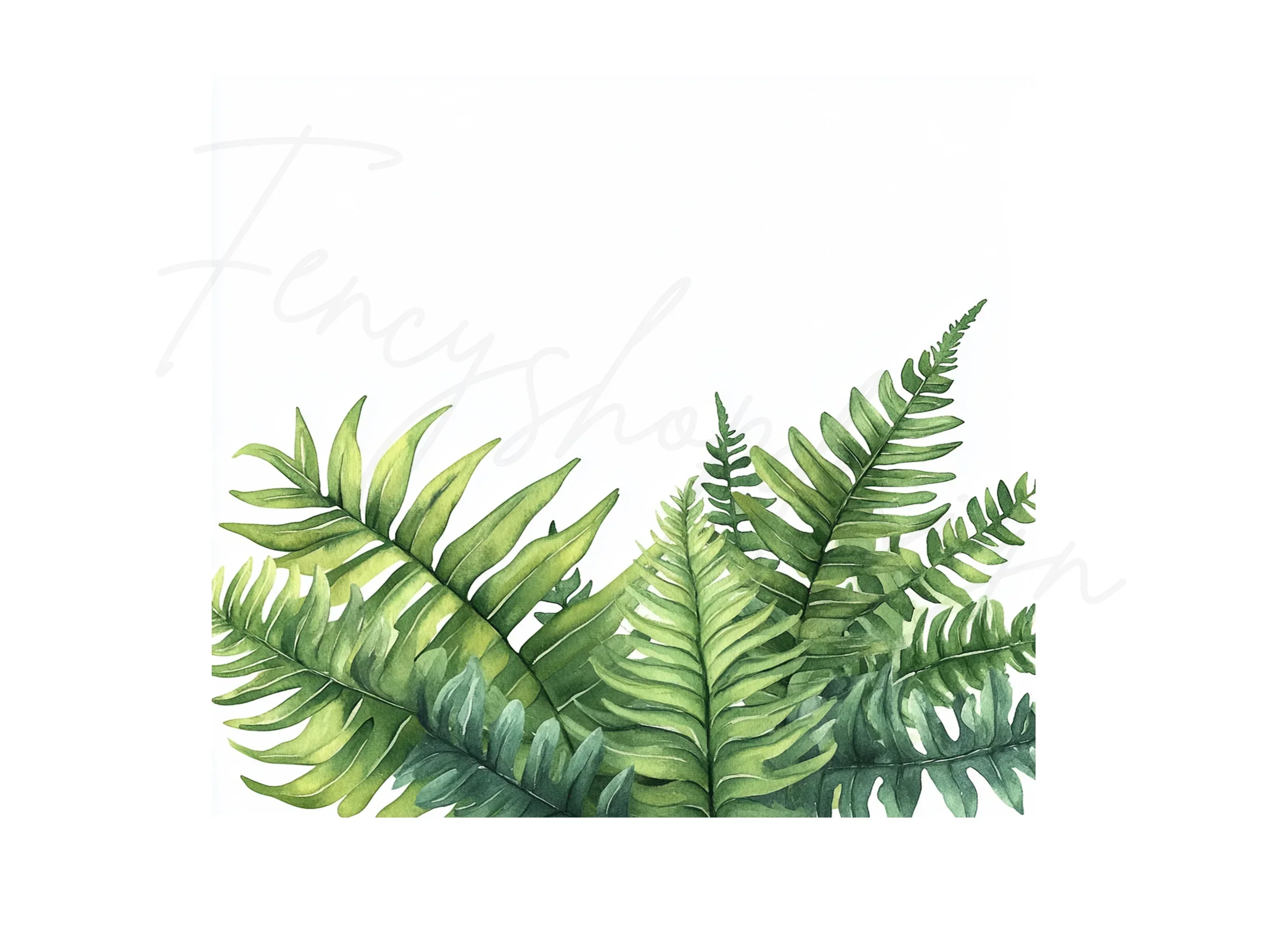 Fern Clipart Bundle - Image 3