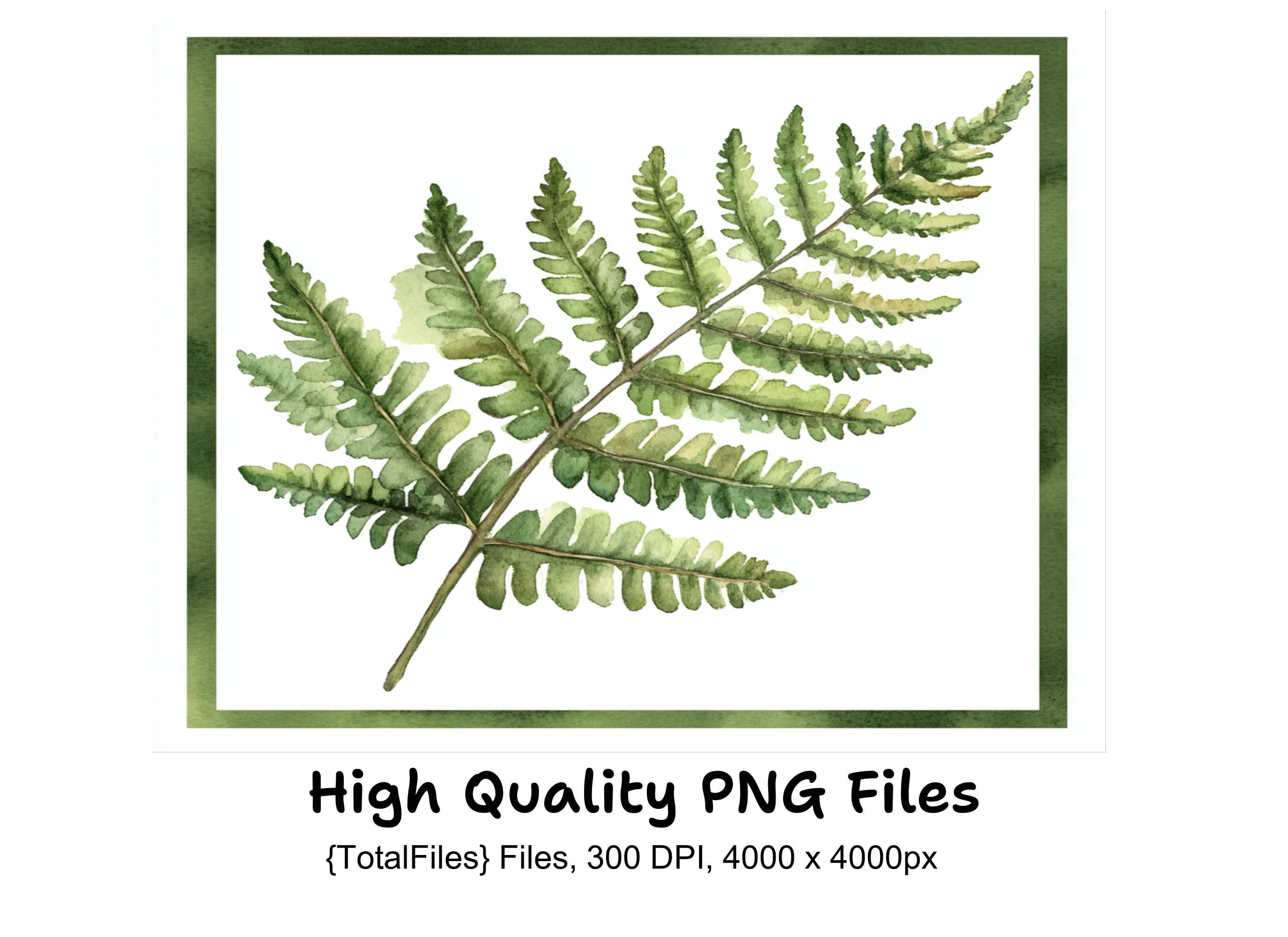 Fern Clipart Bundle