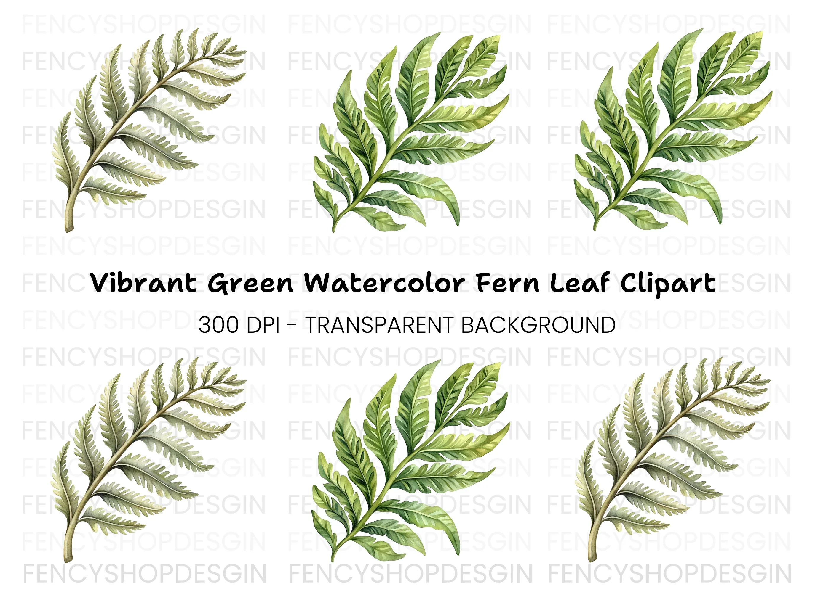Fern Leaves Clipart Bundle