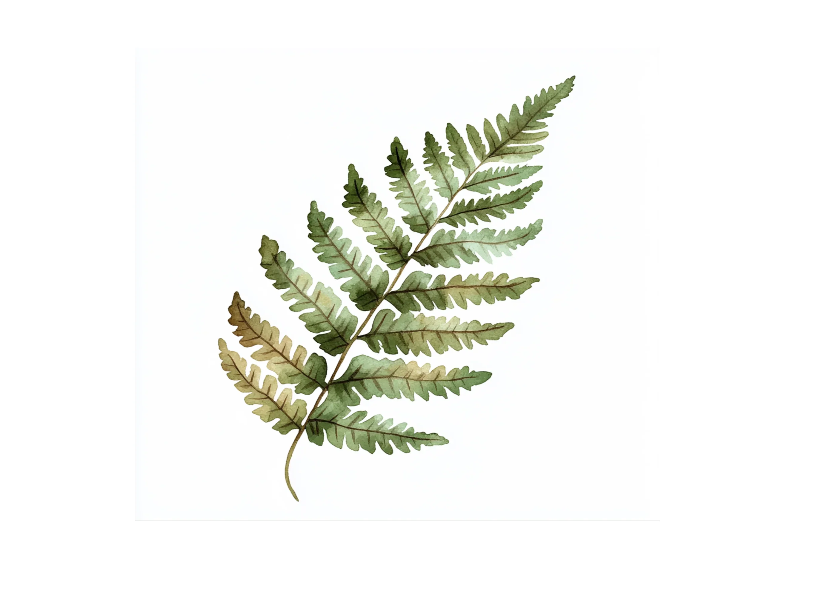 Fern Leaves Clipart Bundle - Image 2