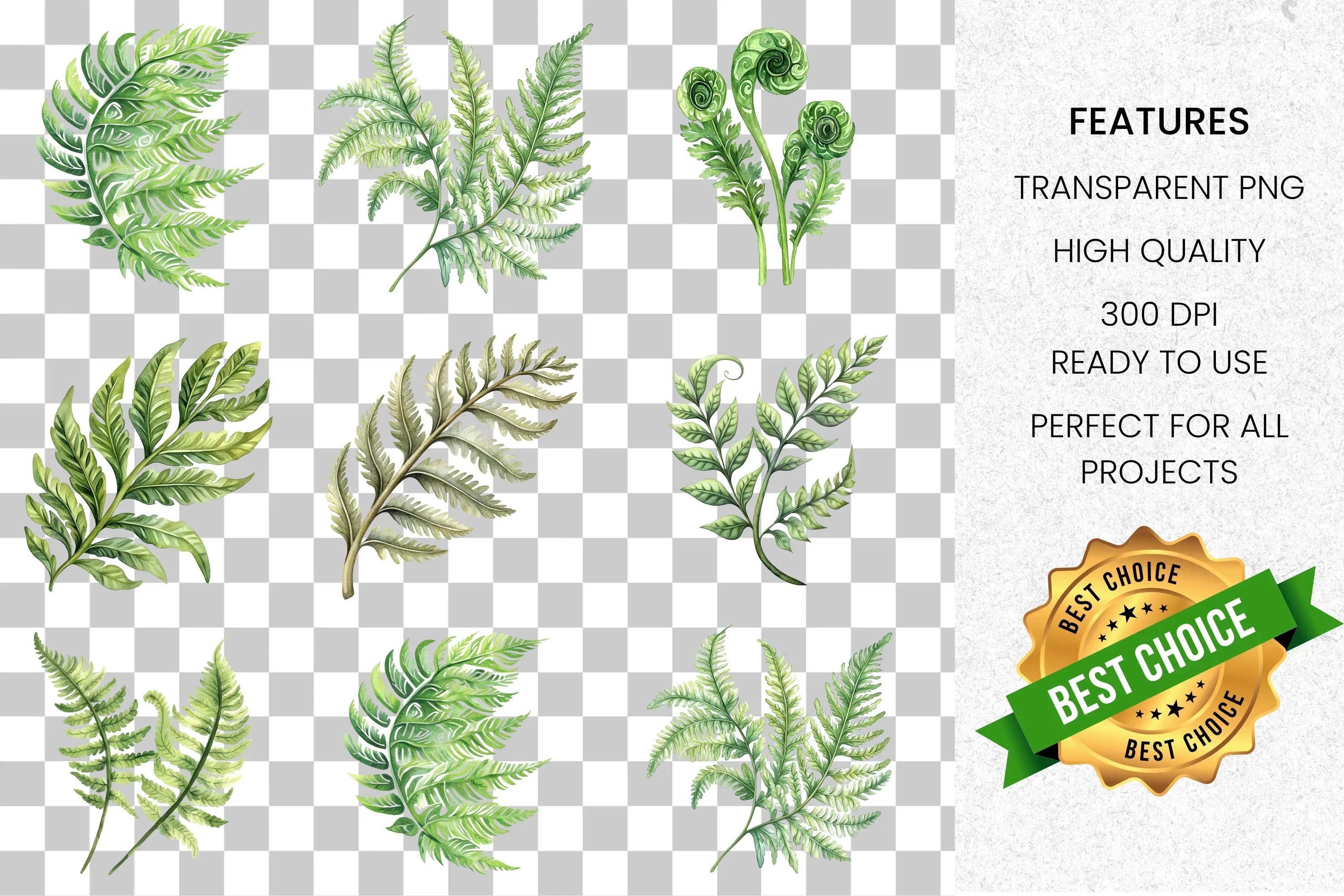 Fern Leaves Clipart Bundle - Image 2