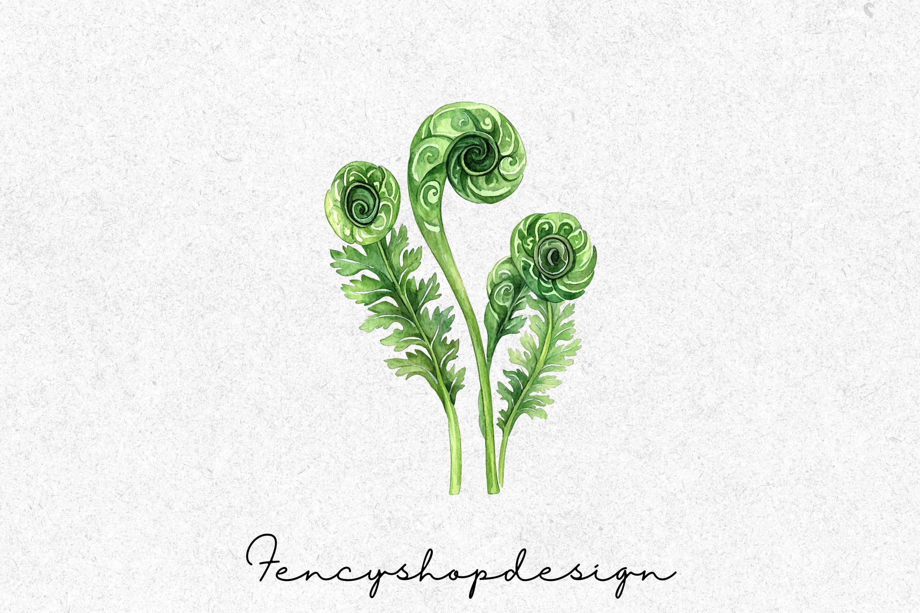 Fern Leaves Clipart Bundle - Image 3