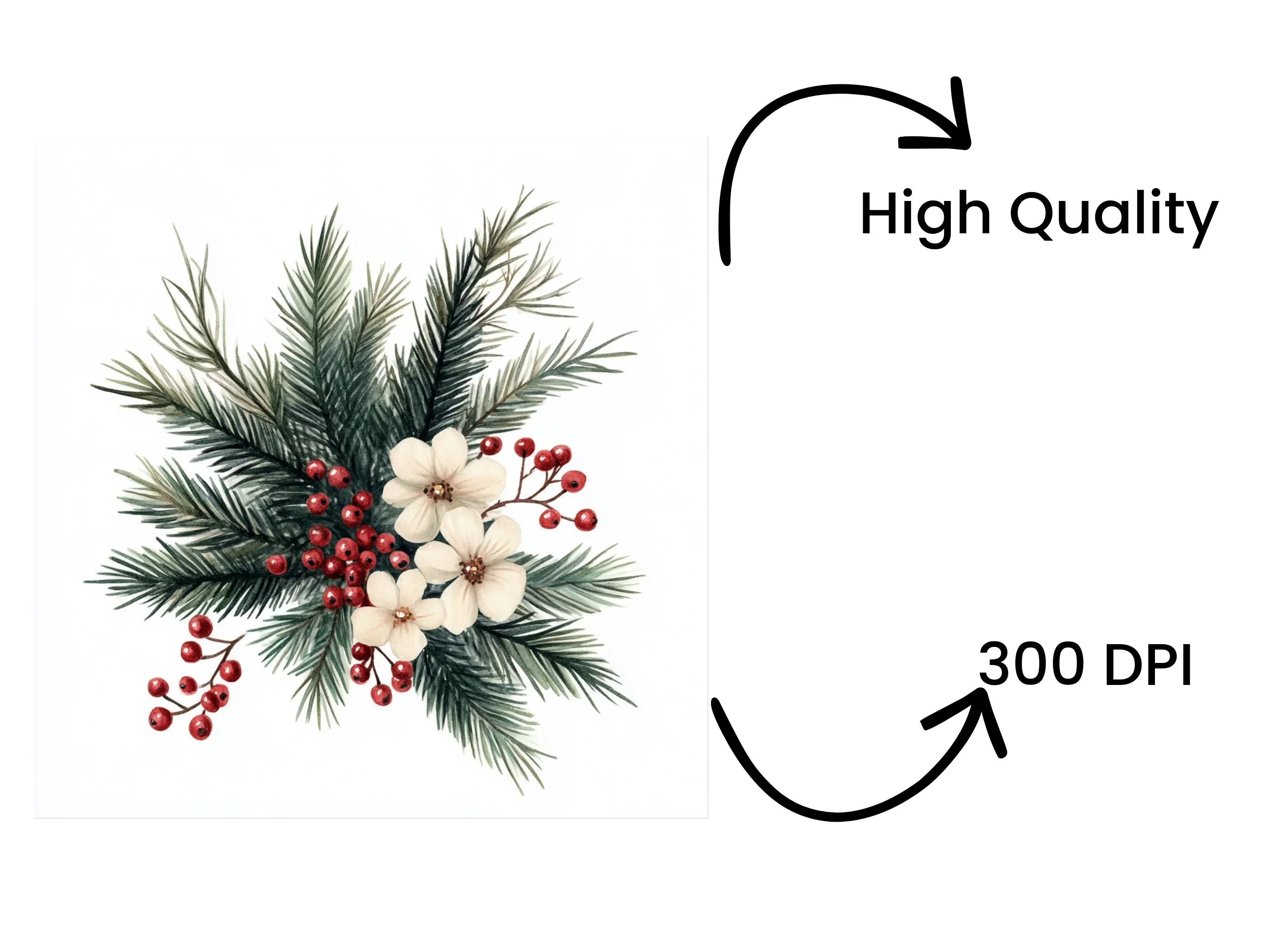 Festive Winter Botanical Clipart Bundle - Image 4