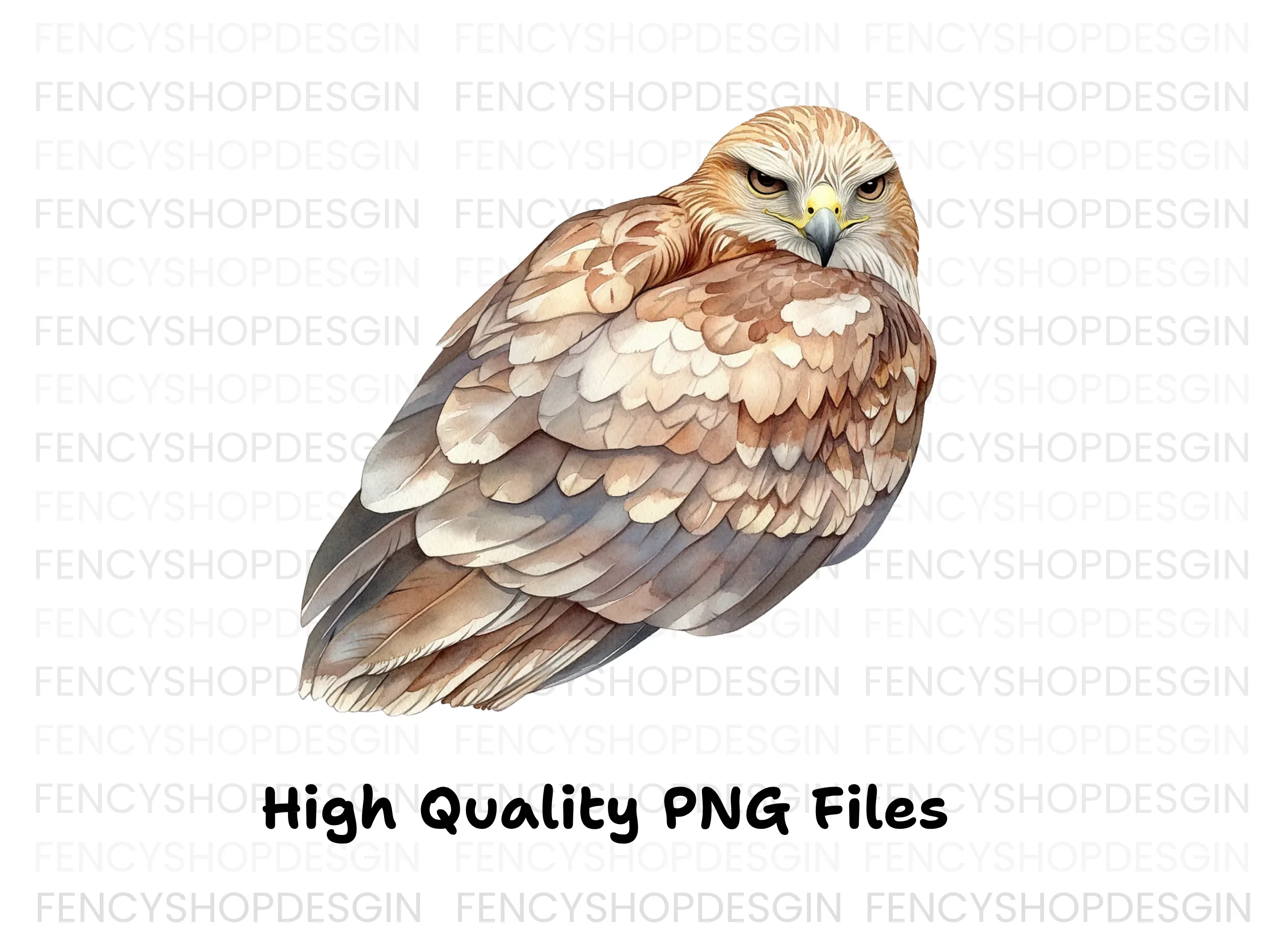 Fierce Hawk Illustration Clipart Bundle - Image 3