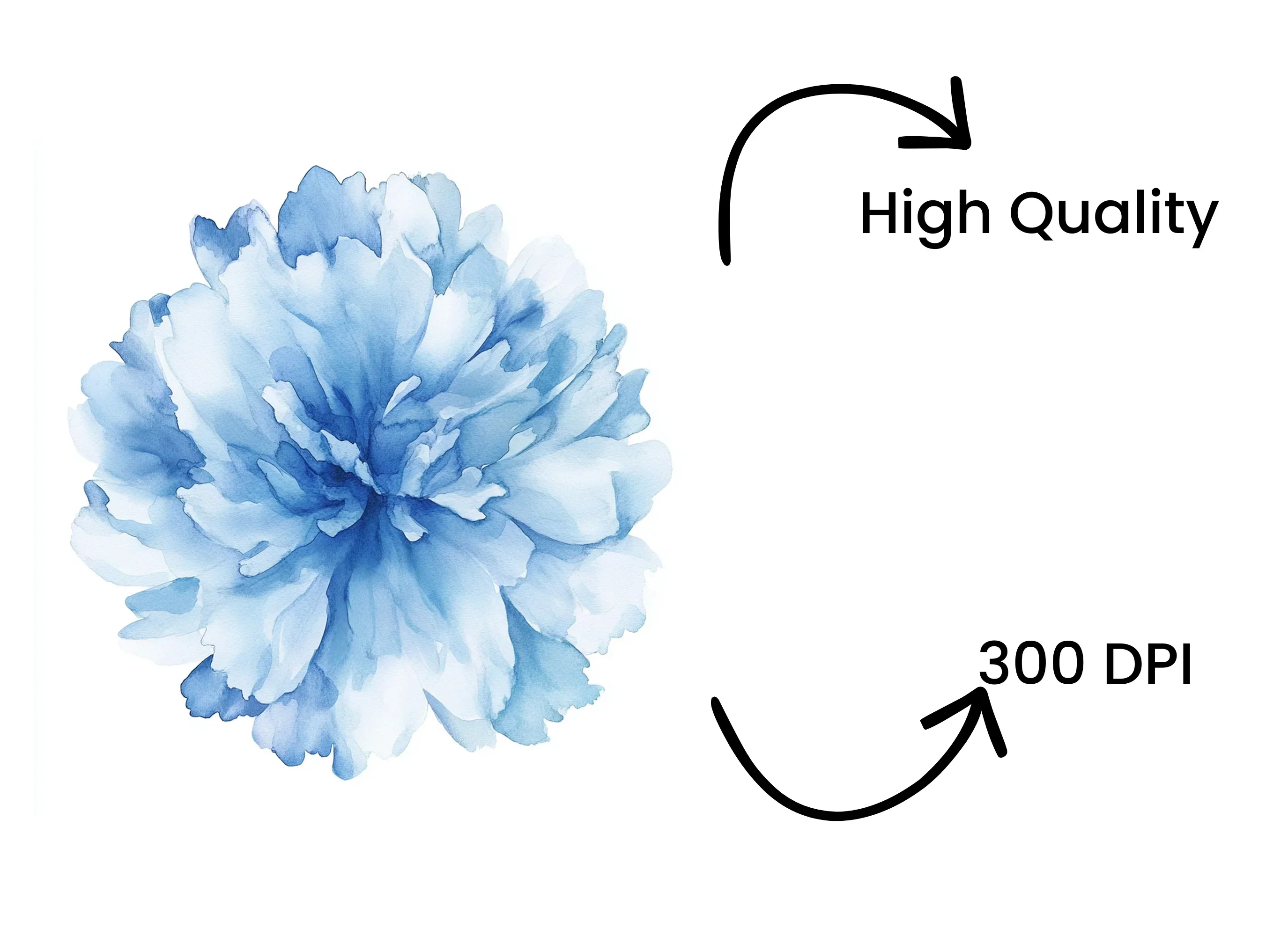 Floral Bloom Clipart Bundle - Image 4