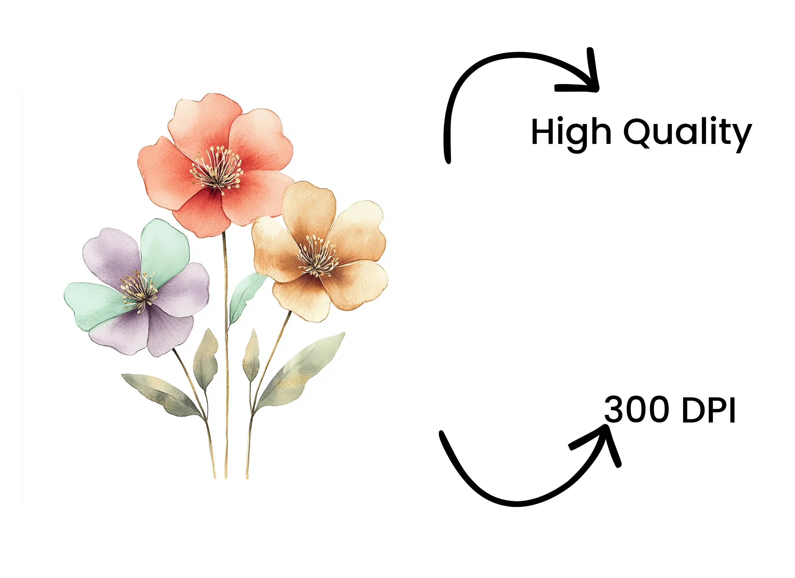 Floral Clipart Bundle - Image 4