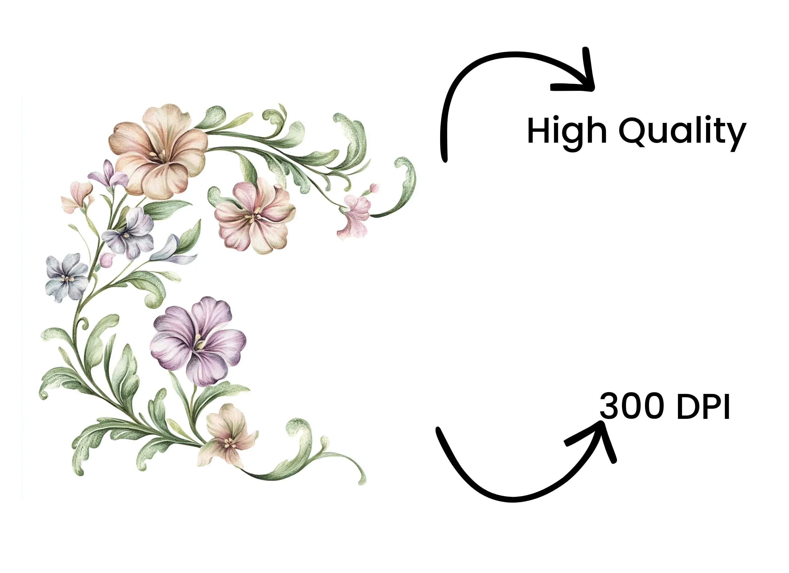 Floral Corner Clipart Bundle - Image 4