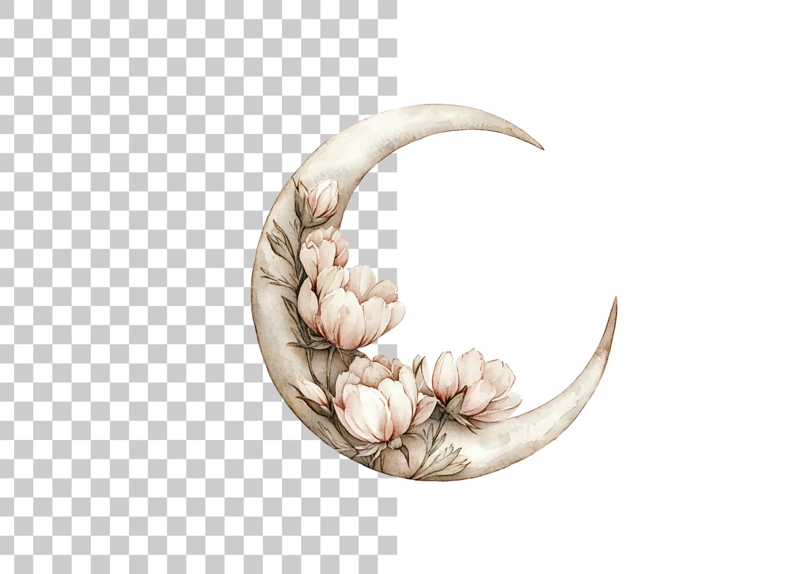 Floral Crescent Moon Clipart Bundle - Image 6