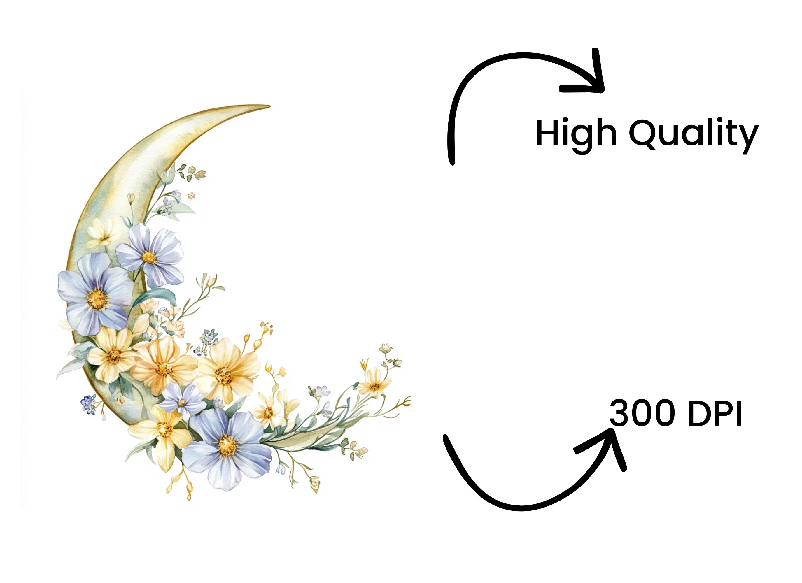 Floral Moon Clipart Bundle - Image 4