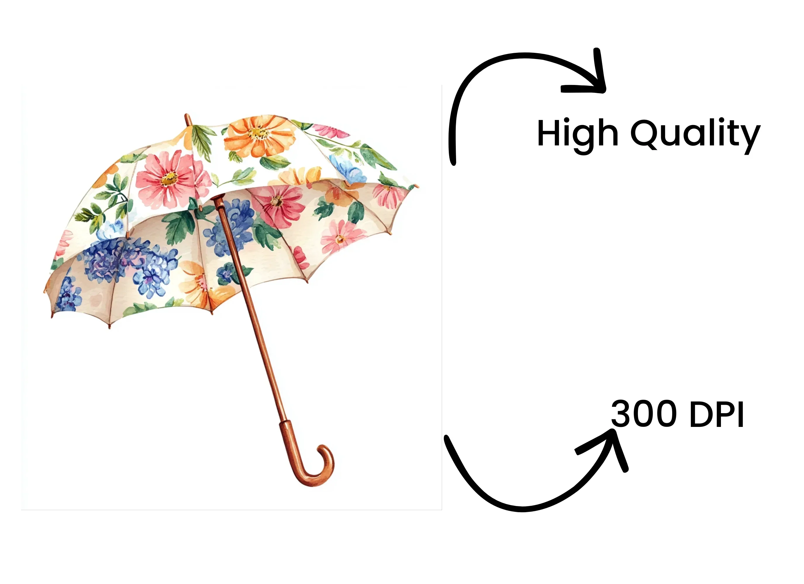 Floral Umbrellas Clipart Bundle - Image 4