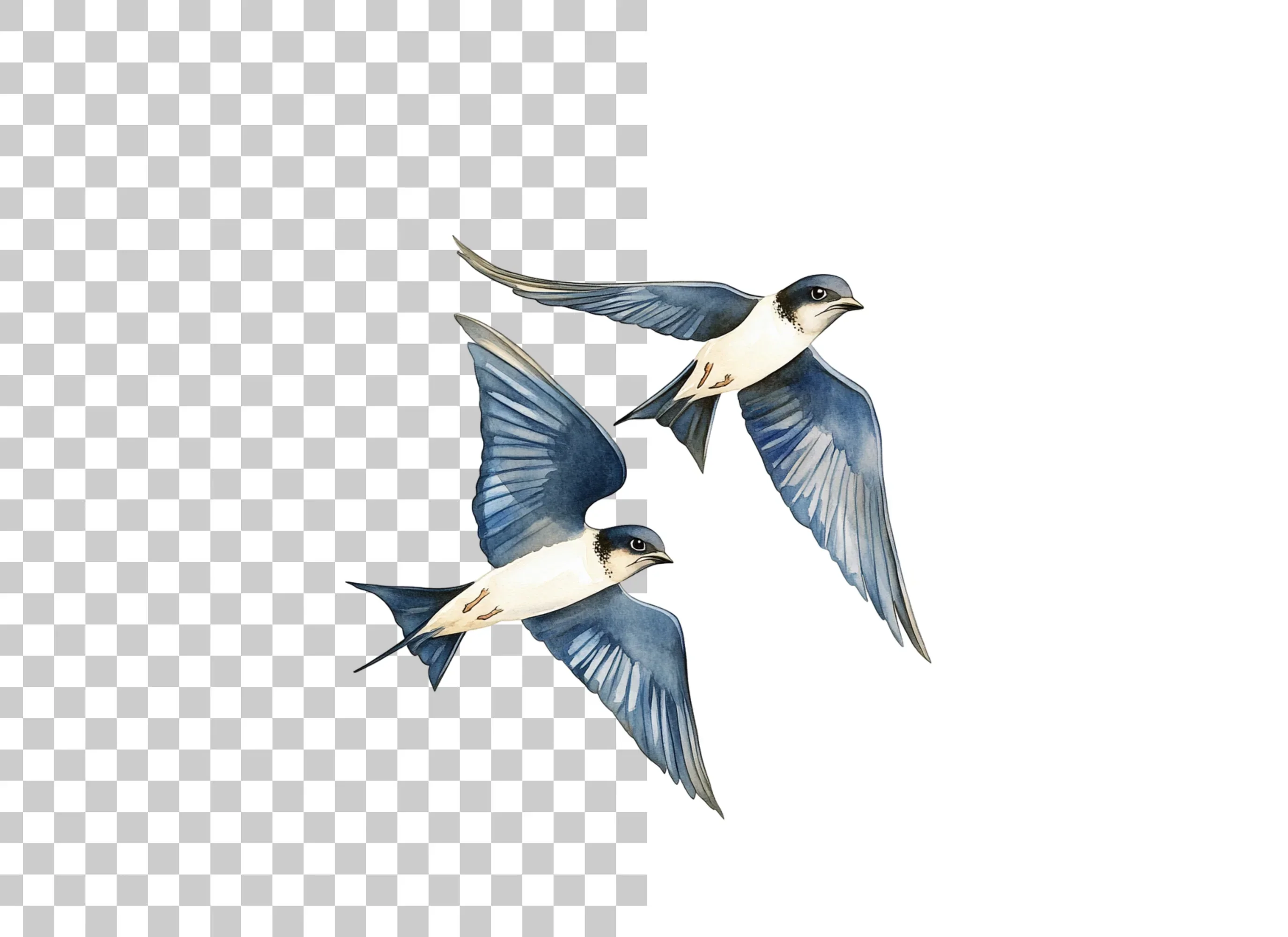Flying Swallow Birds Clipart Bundle - Image 6