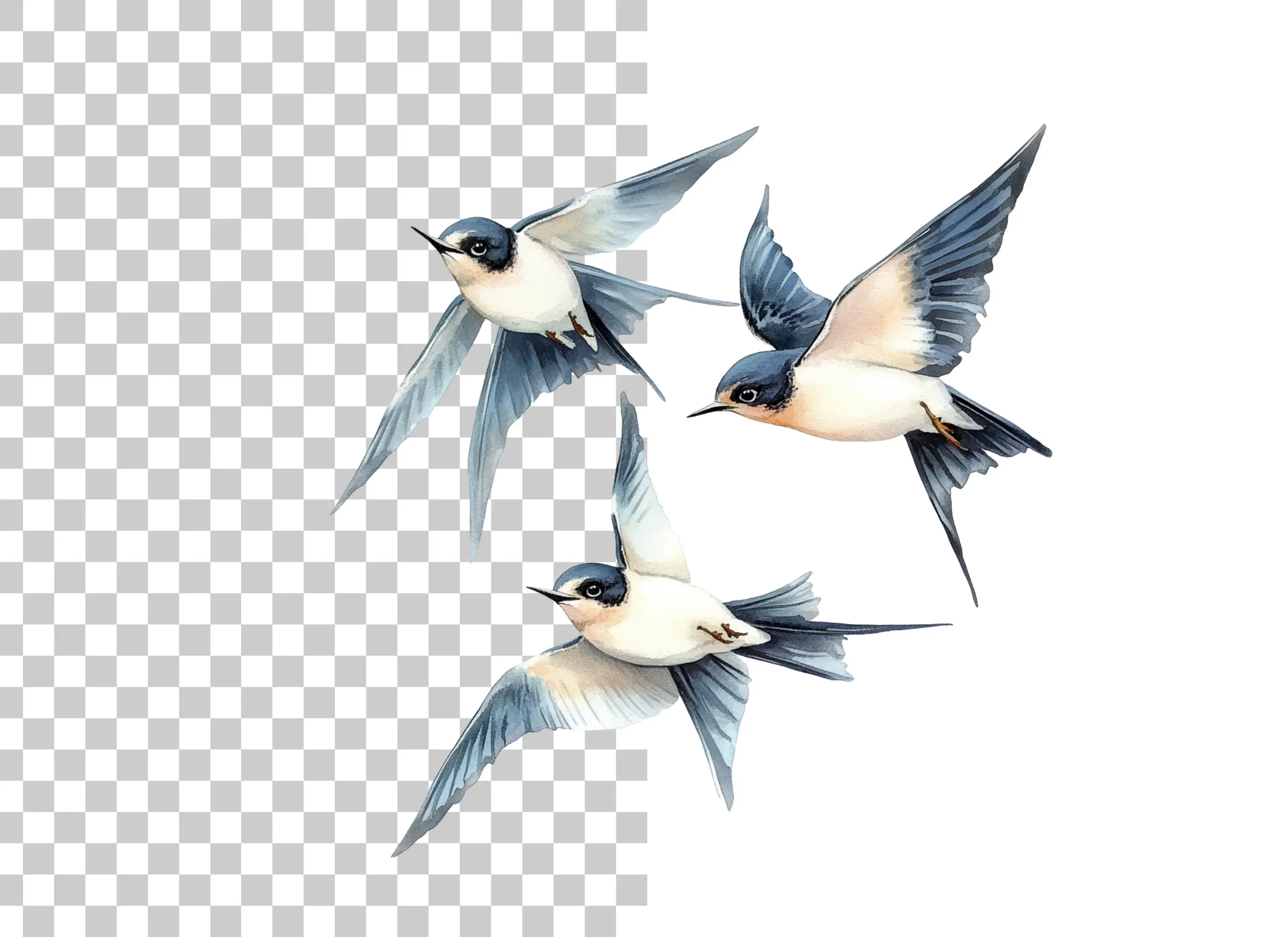 Flying Swallows Clipart Bundle - Image 6