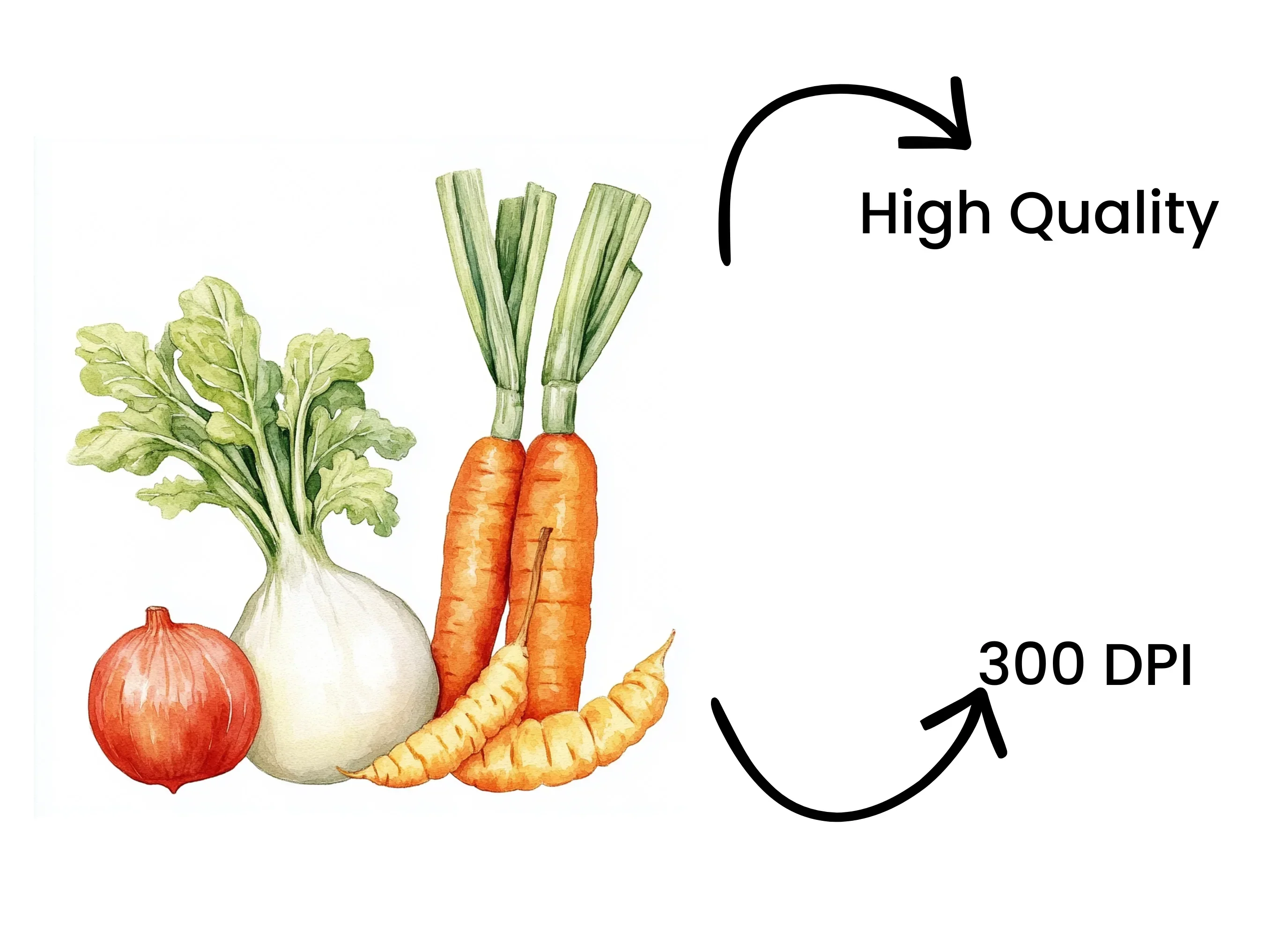 Fresh Farm Produce Clipart Bundle - Image 4