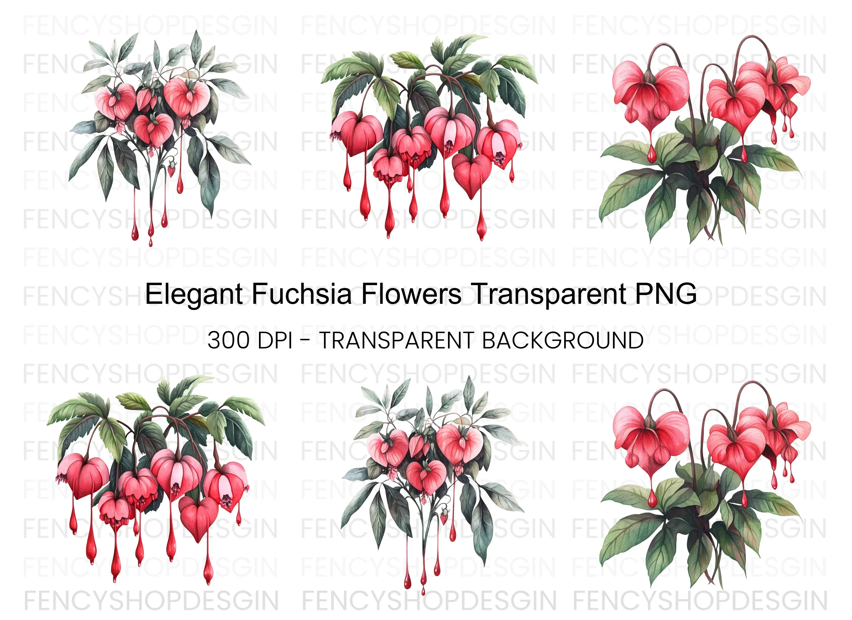 Fuchsia Flower Clipart Bundle