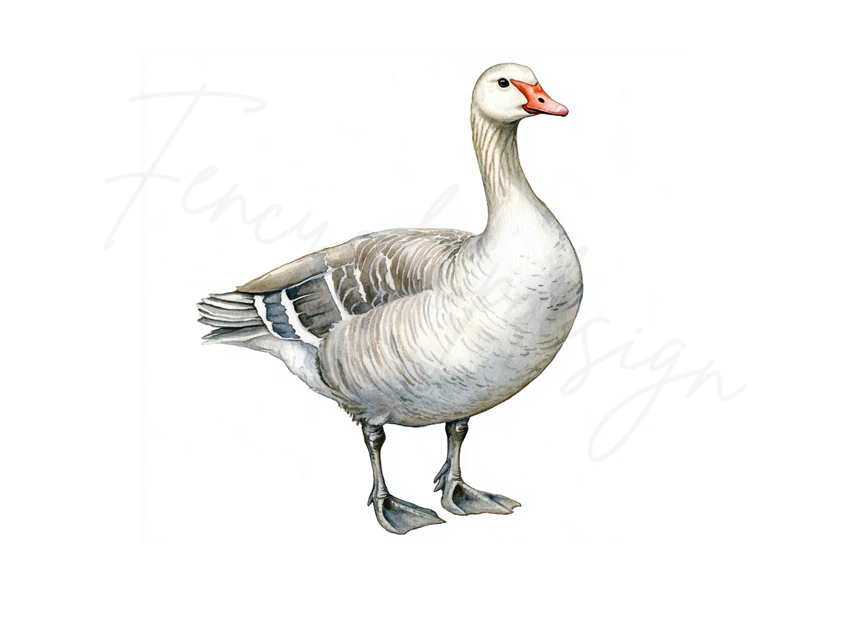 Geese Clipart Bundle - Image 2