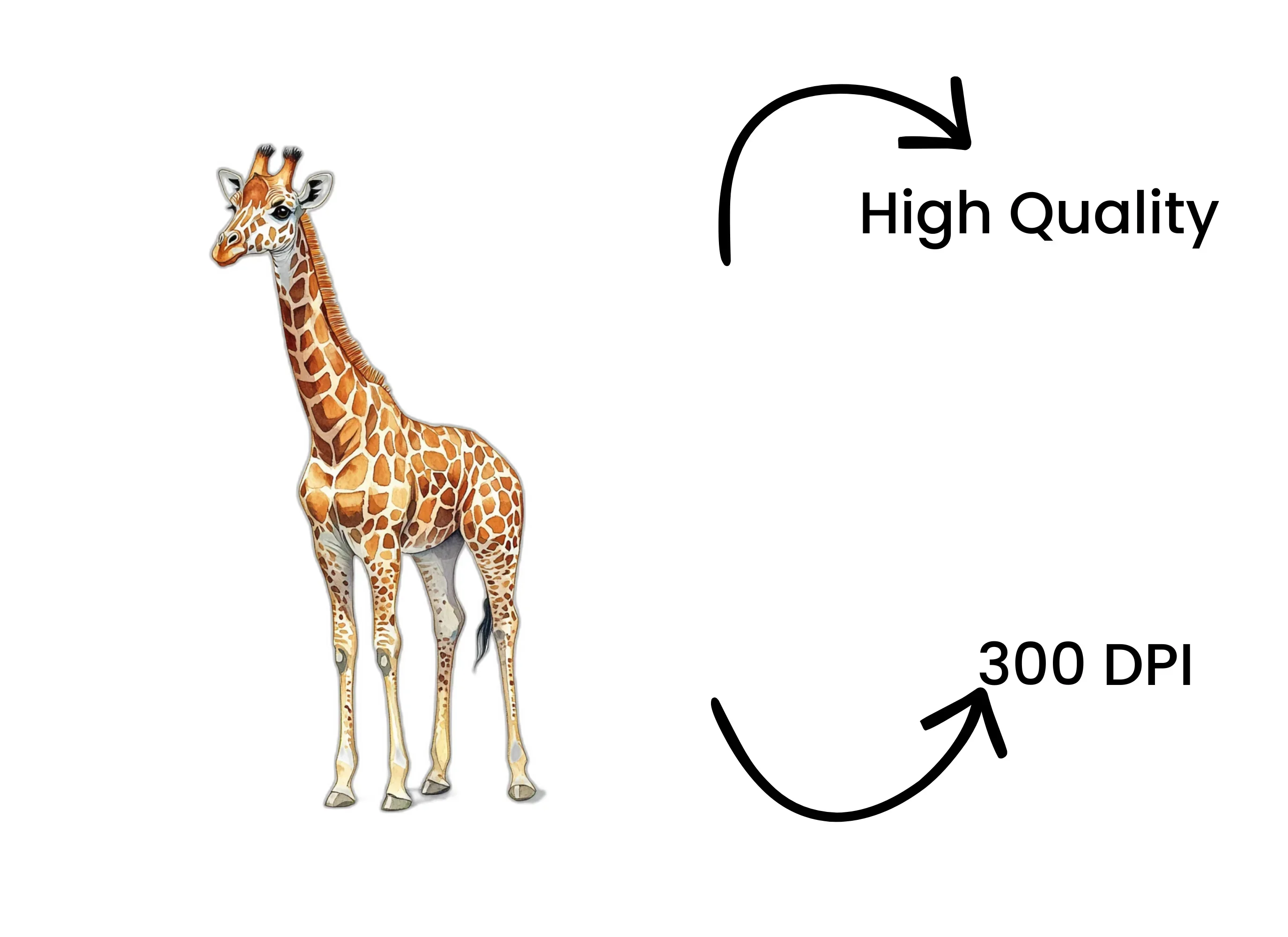 Giraffe Illustration Clipart Bundle - Image 4