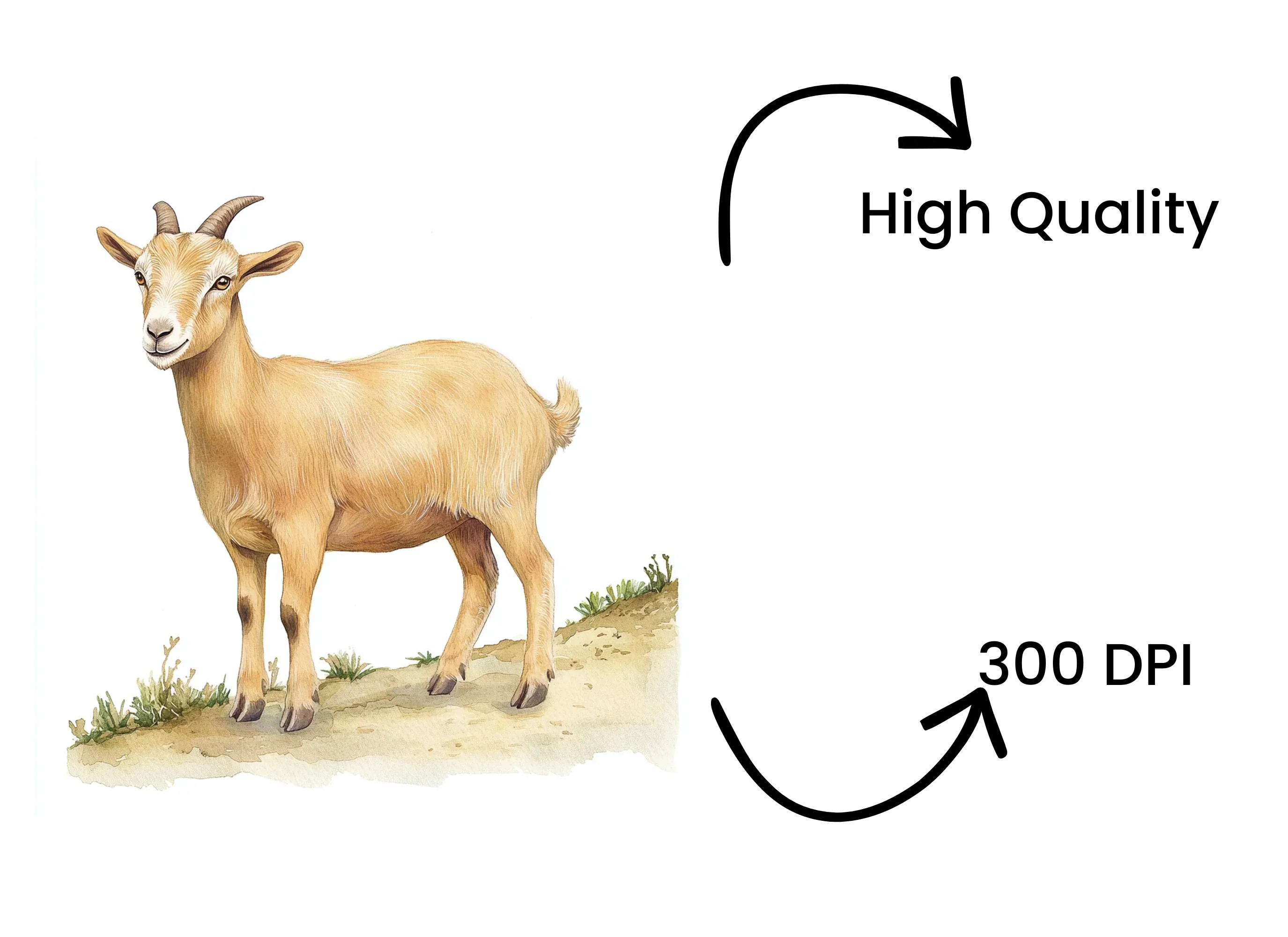 Goat Illustration Clipart Bundle - Image 4