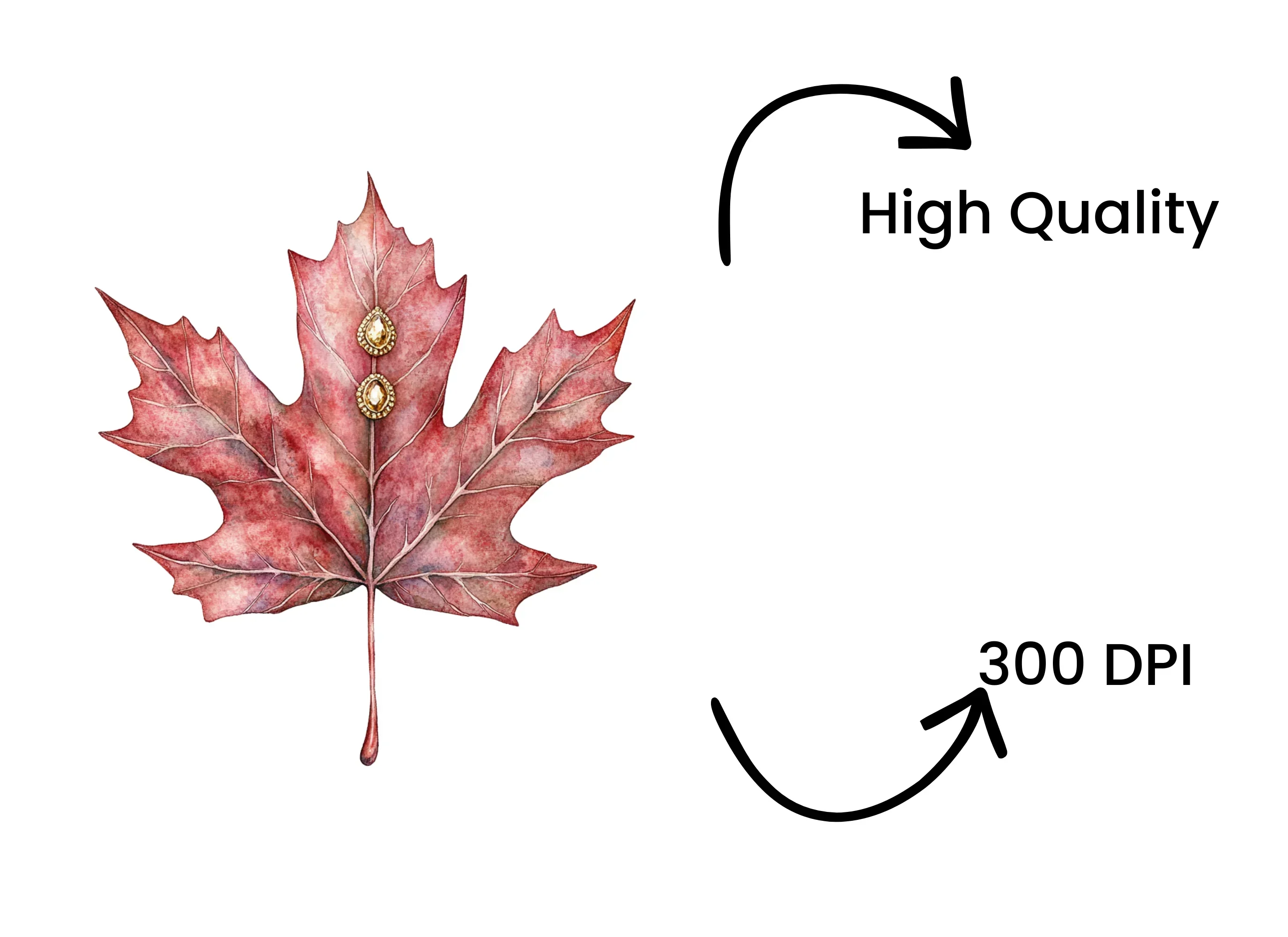Golden Embellished Maple Leaves Clipart Bundle - Image 4