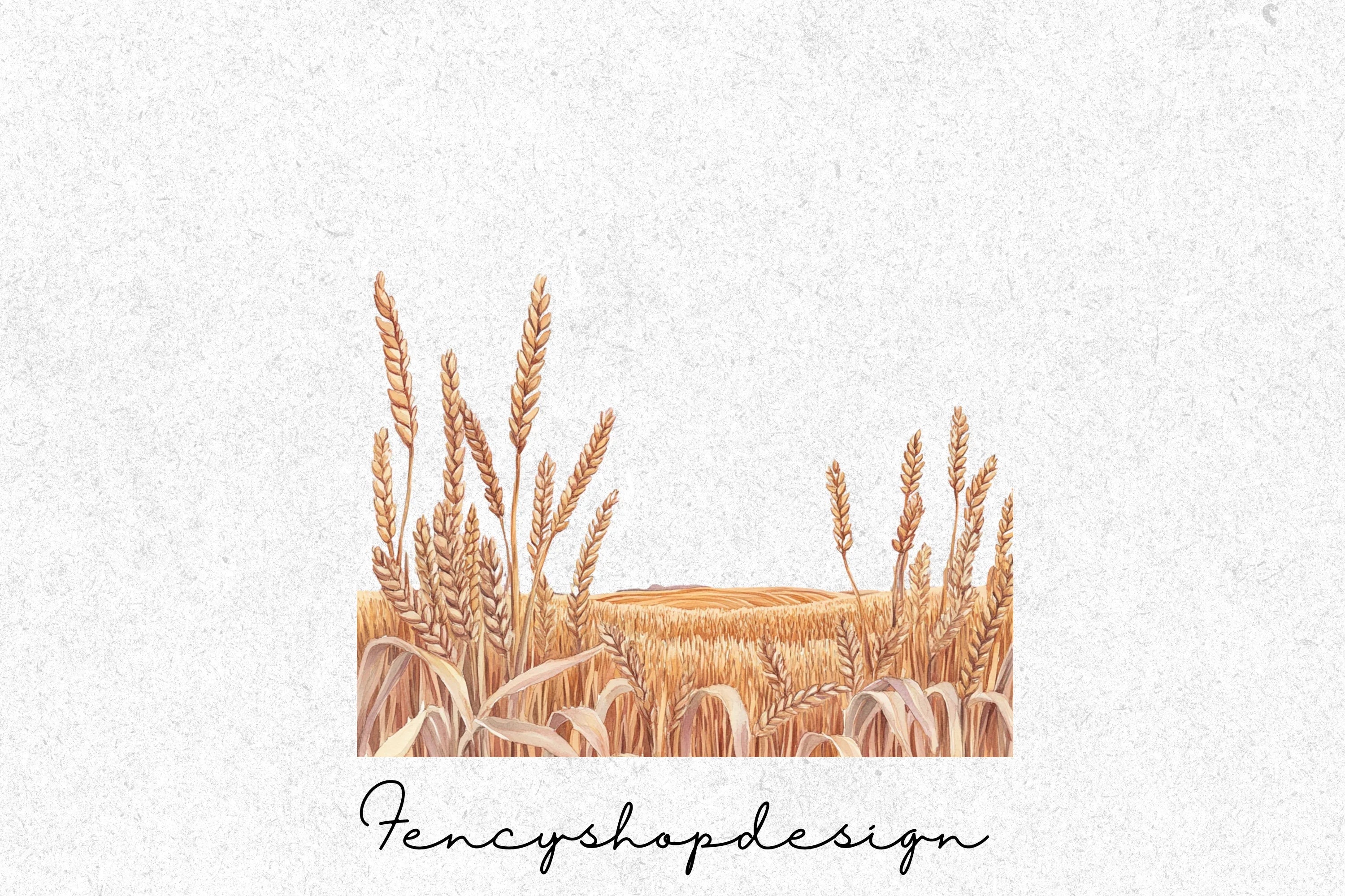 Golden Wheat Stalks Field Clipart Bundle - Image 3