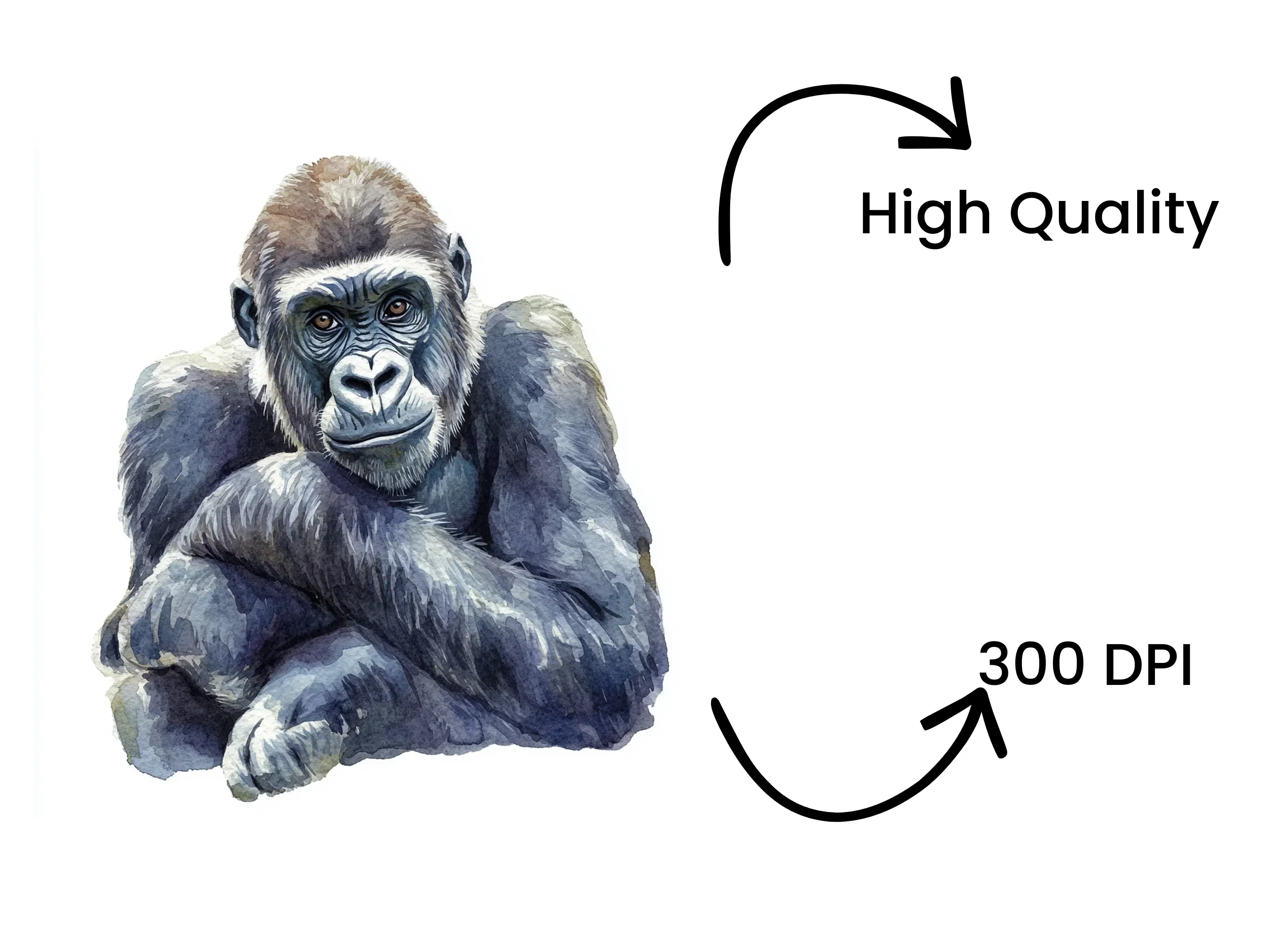 Gorilla Clipart Bundle - Image 4