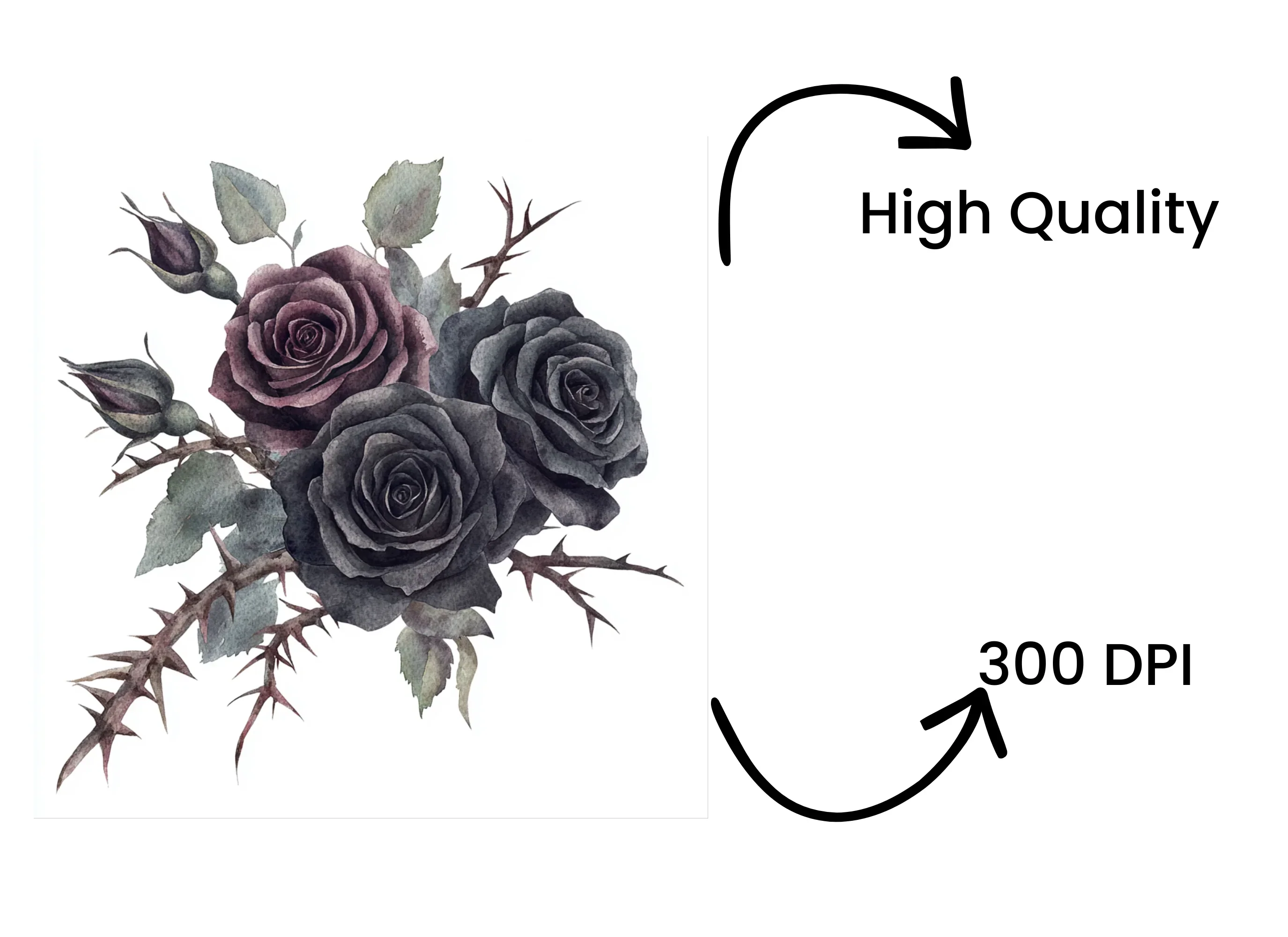 Gothic Black Rose Bouquets Clipart Bundle - Image 4