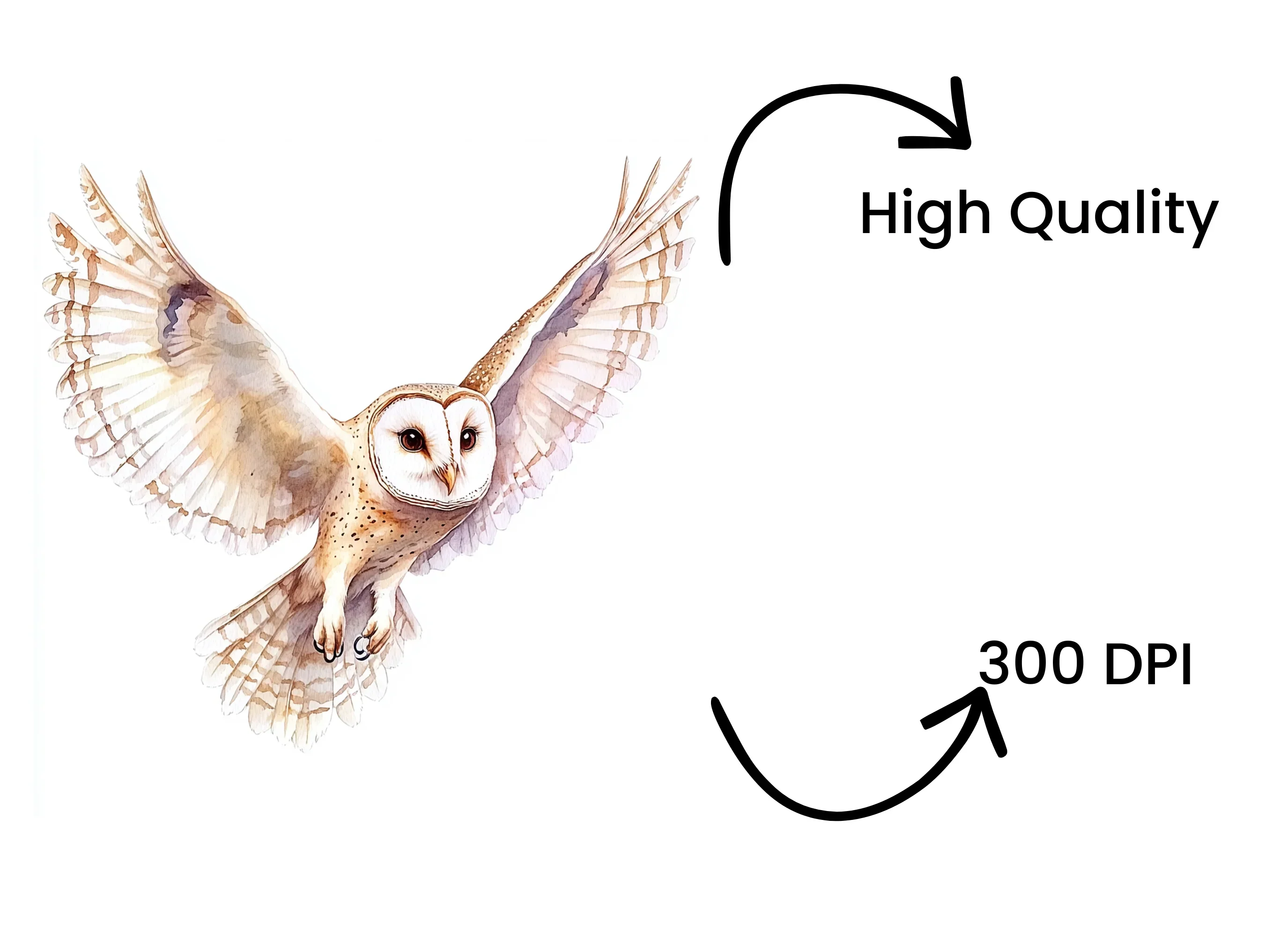 Graceful Barn Owl In Flight Clipart Bundle - Image 3