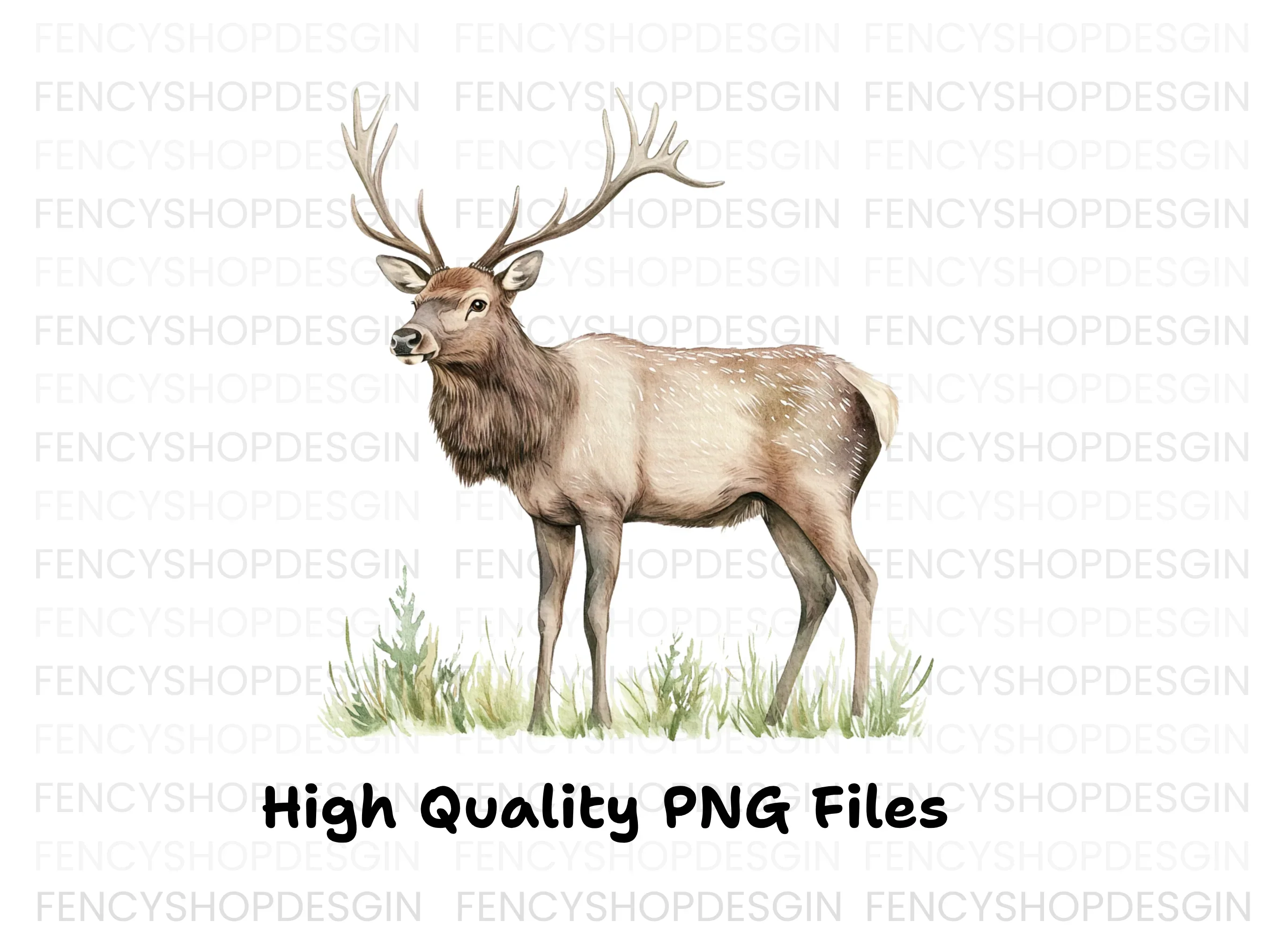 Graceful Elk Standing in Grass Clipart Bundle - Image 2