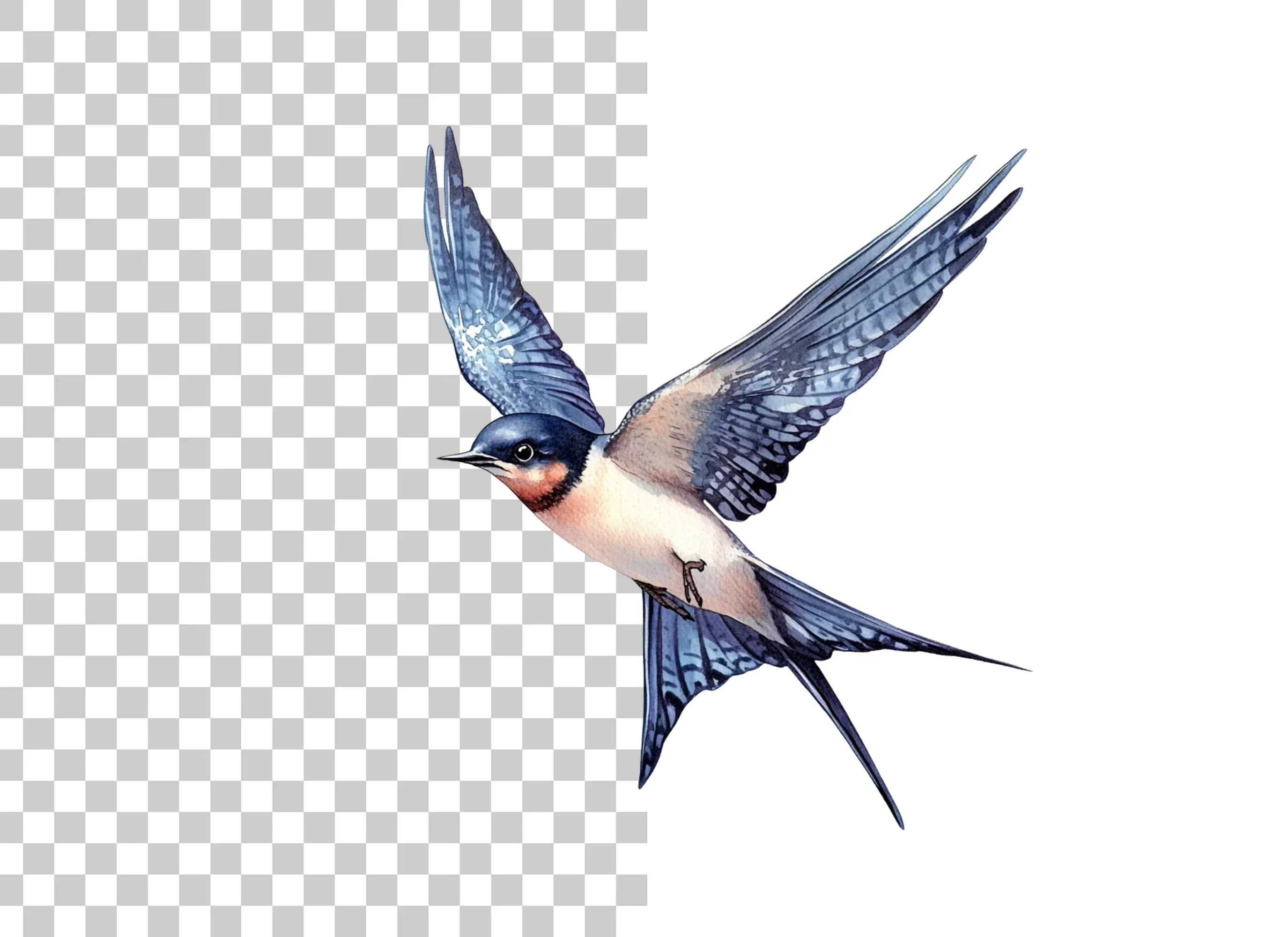 Graceful Flying Swallow Clipart Bundle - Image 6