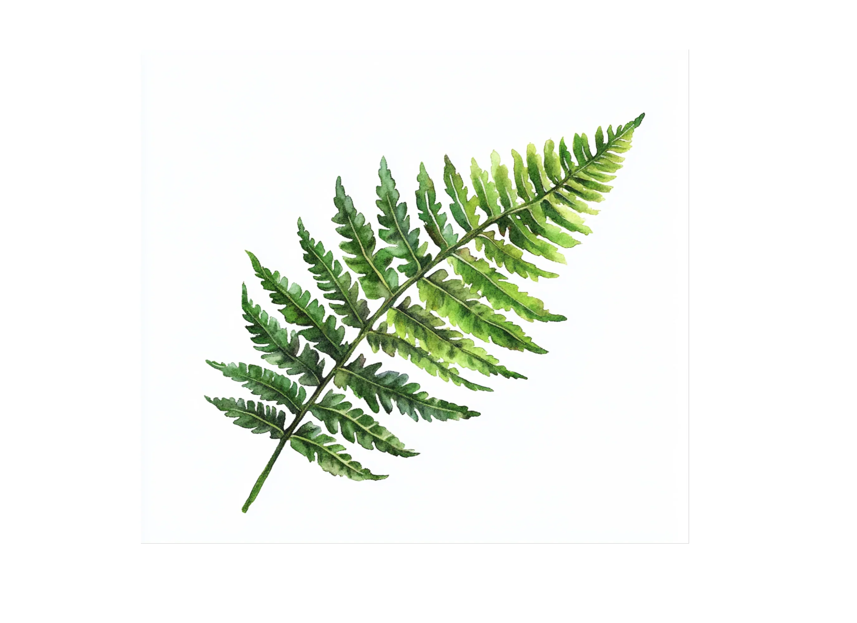 Green Fern Foliage Clipart Bundle - Image 2