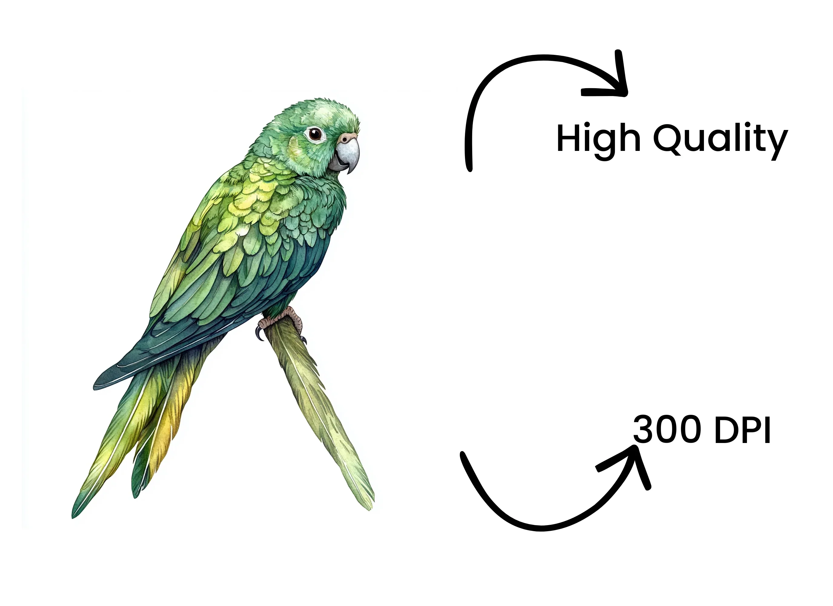 Green Parrot Clipart Bundle - Image 4