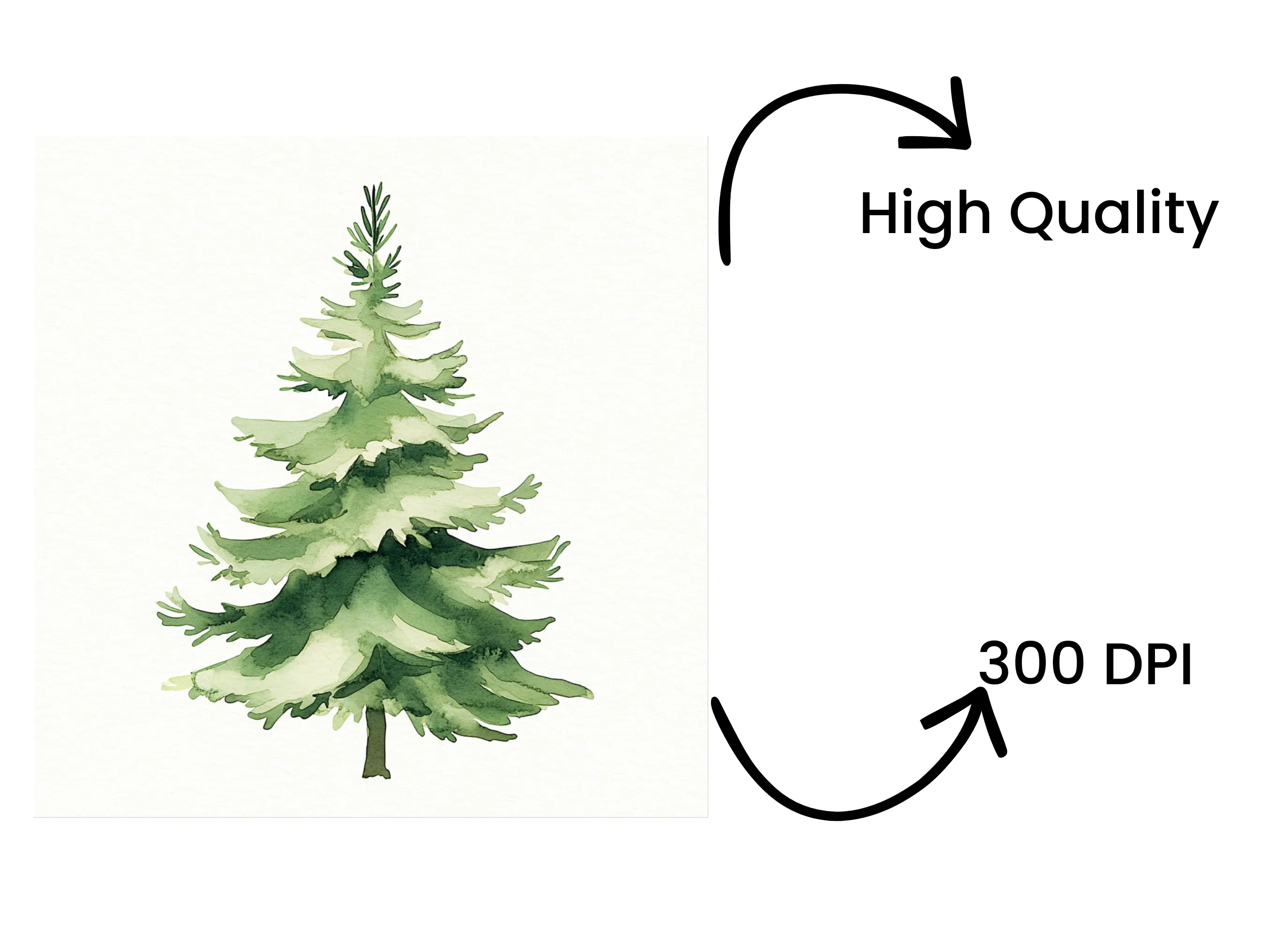 Green Pine Tree Clipart Bundle - Image 4