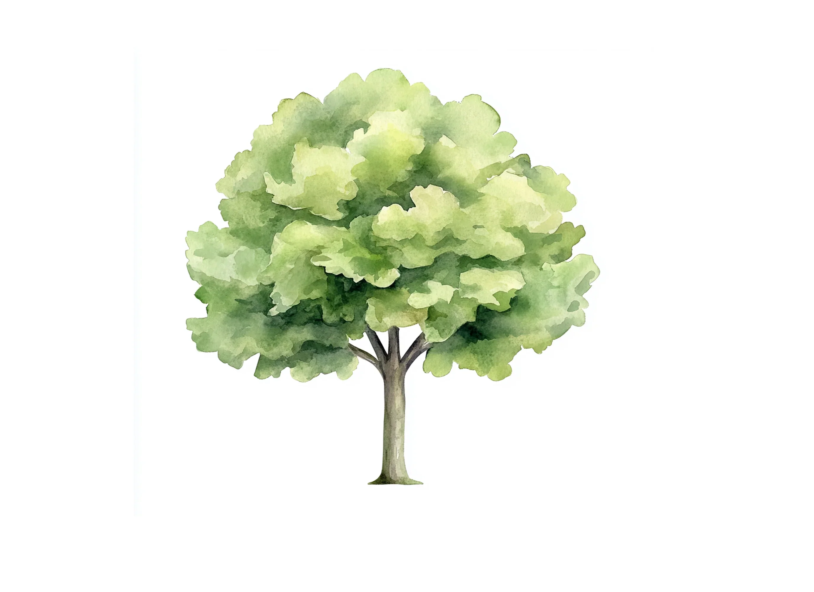Green Tree Clipart Bundle - Image 3