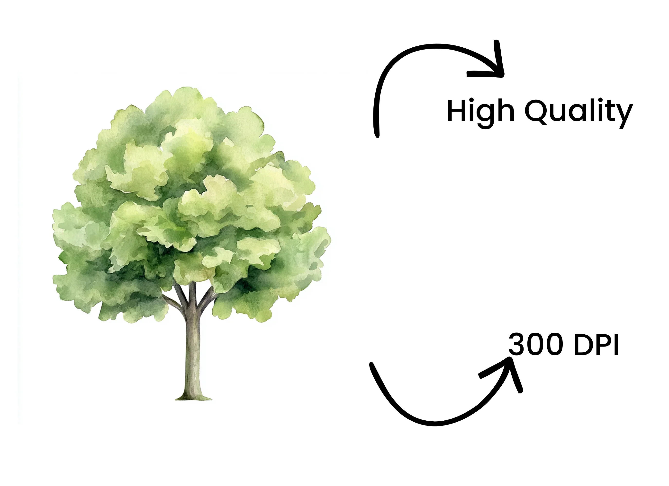 Green Tree Clipart Bundle - Image 4