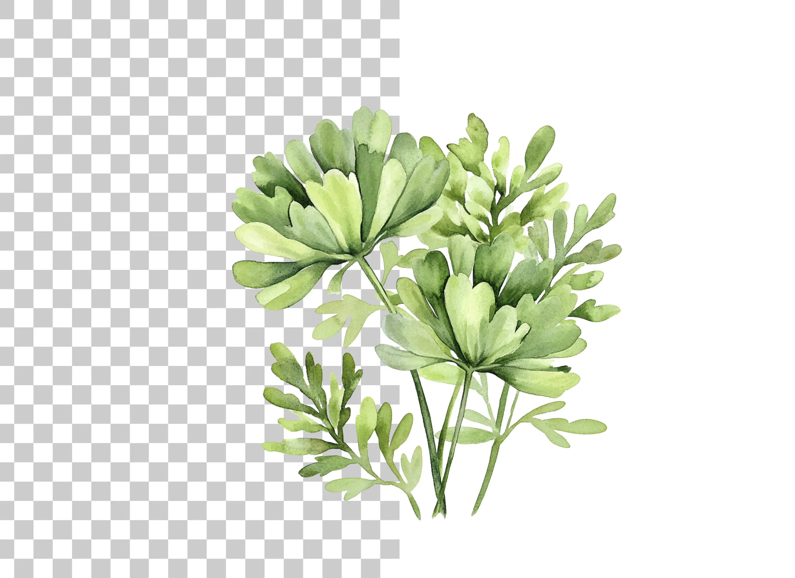 Greenery Clipart Bundle - Image 6