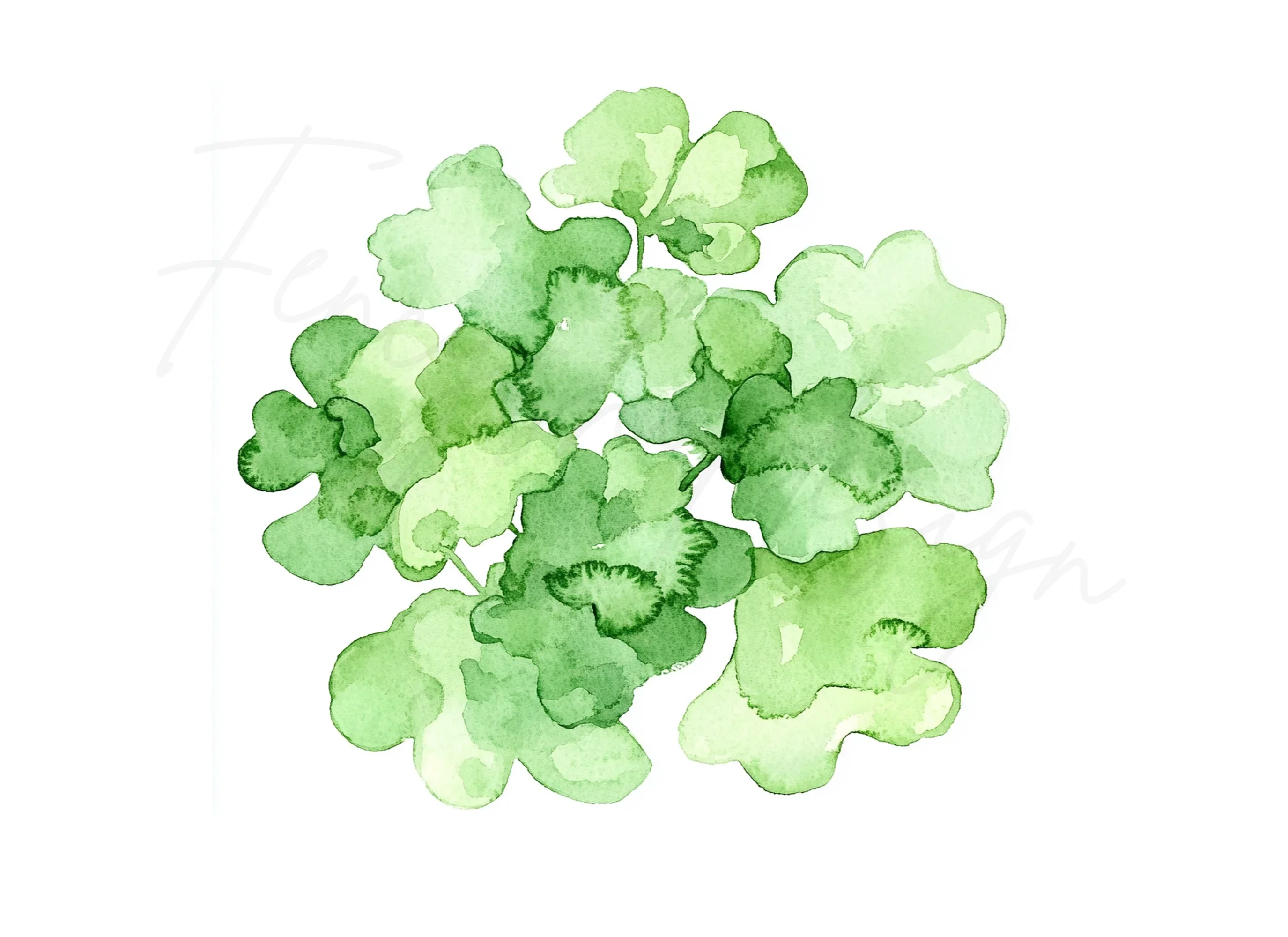 Greenery Clipart Bundle - Image 3