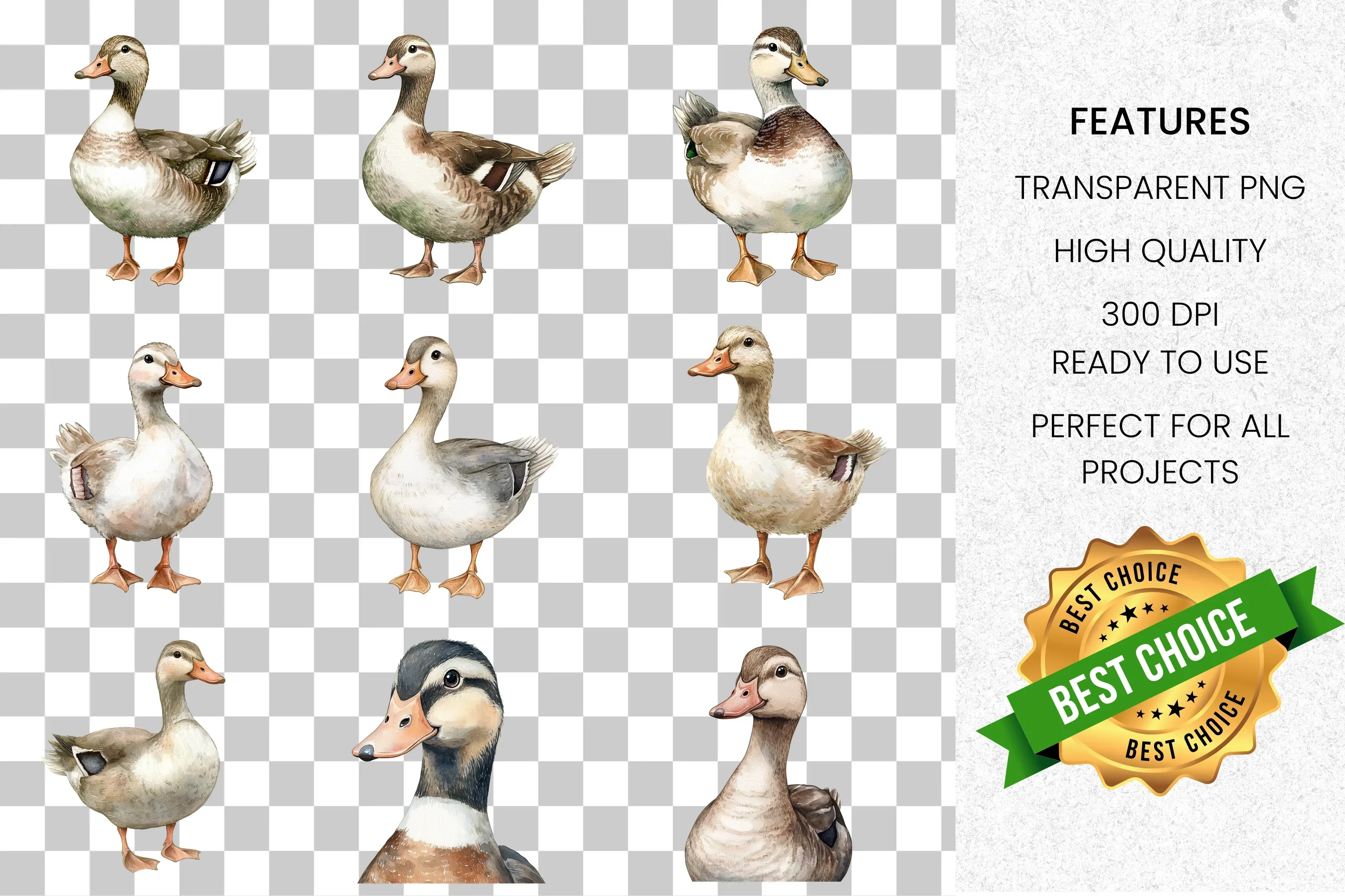 Hand Painted Duck Clipart Bundle - Image 2