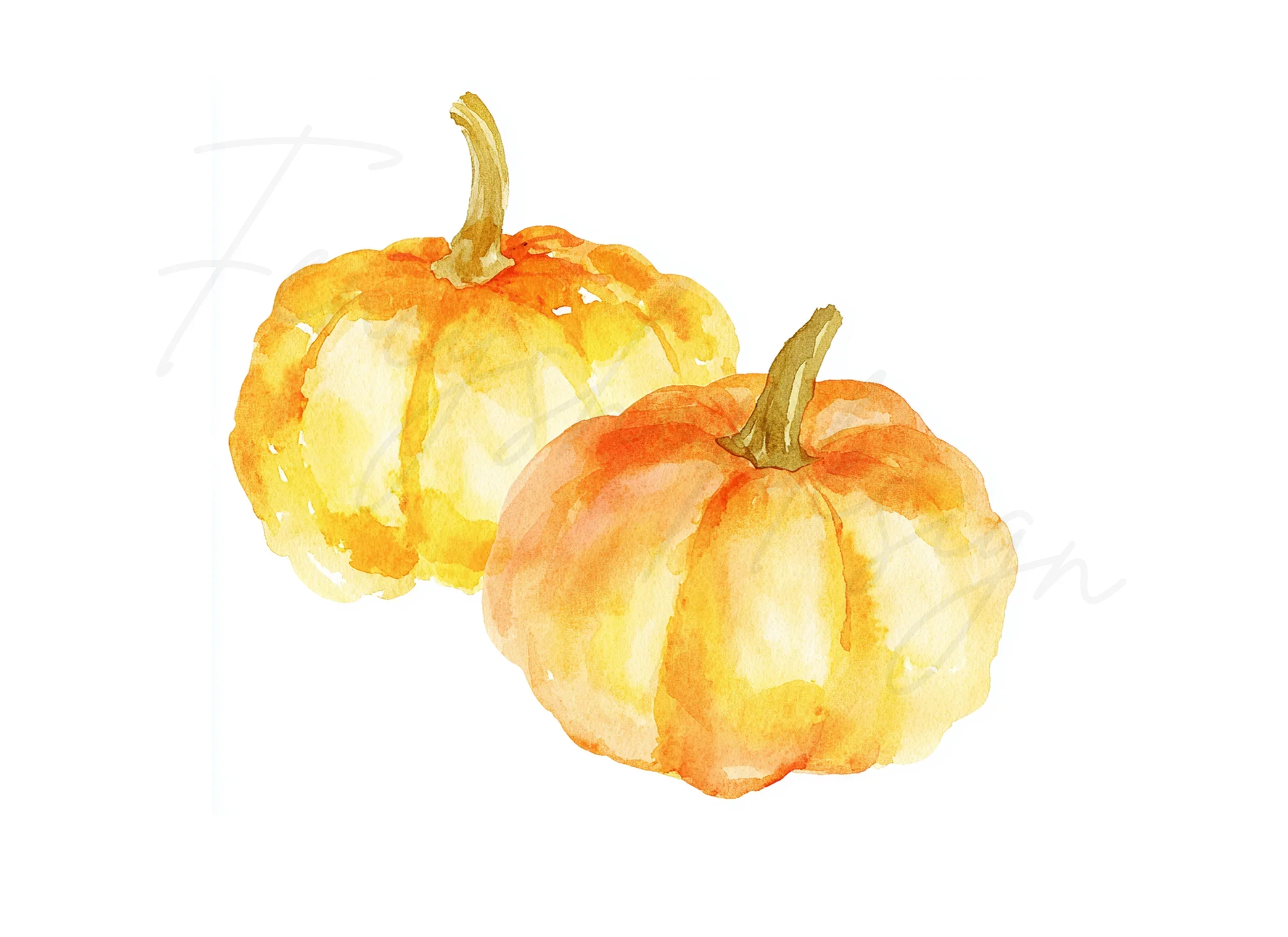 Hand Painted Pumpkins Clipart Bundle - Image 2