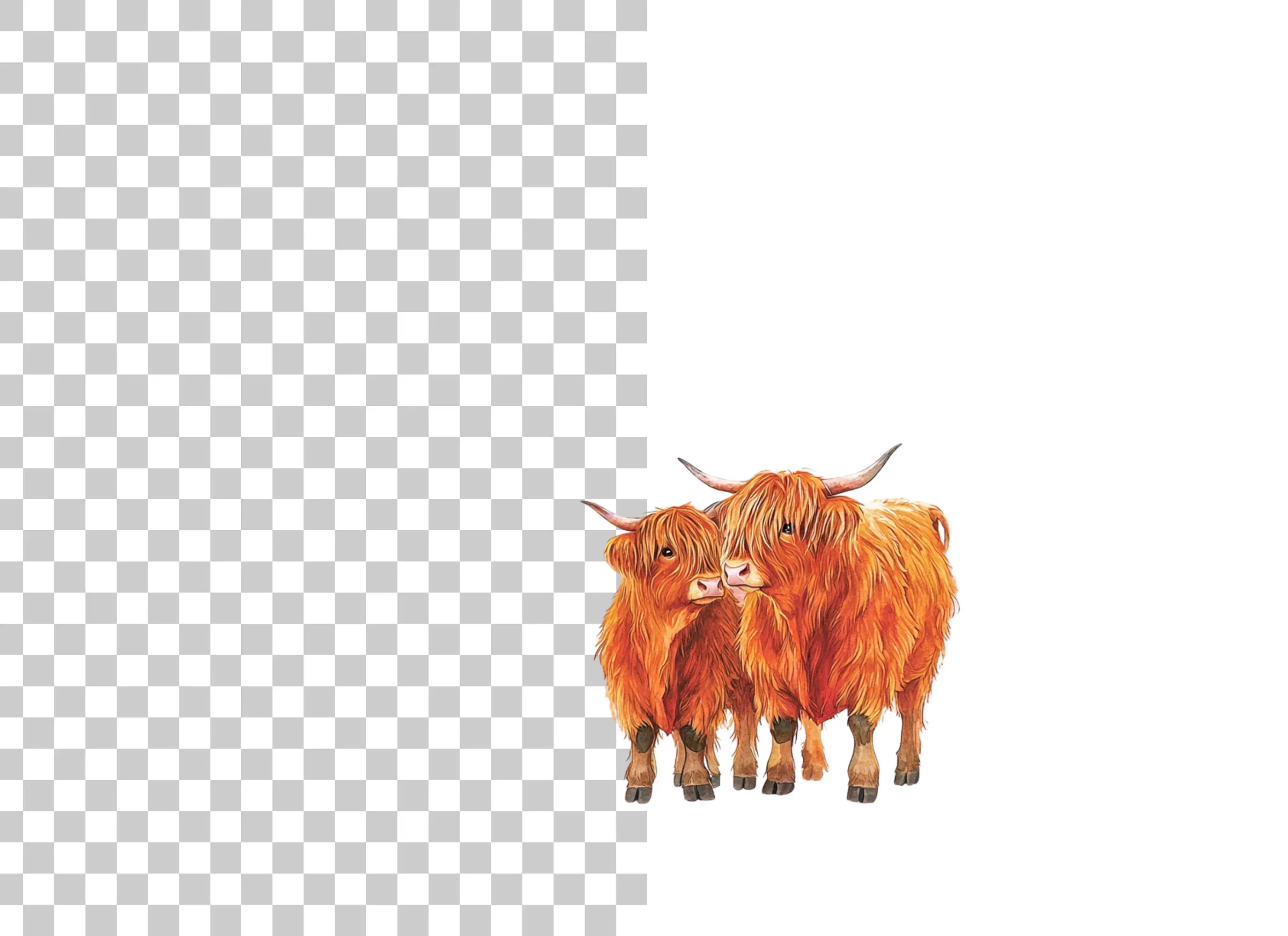 Highland Cow and Calf Clipart Bundle - Image 2