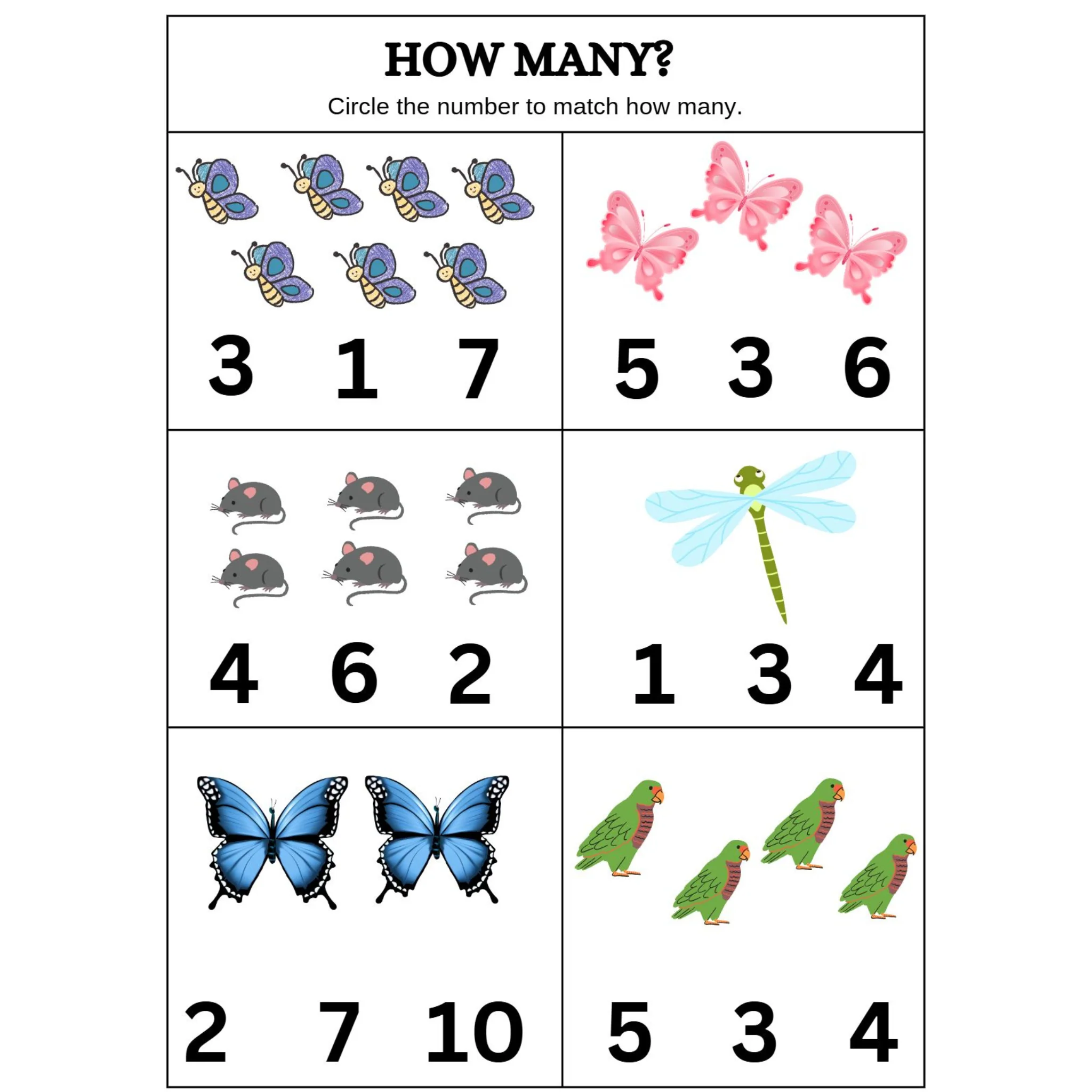 How Many Count and Circle Worksheets - Image 2