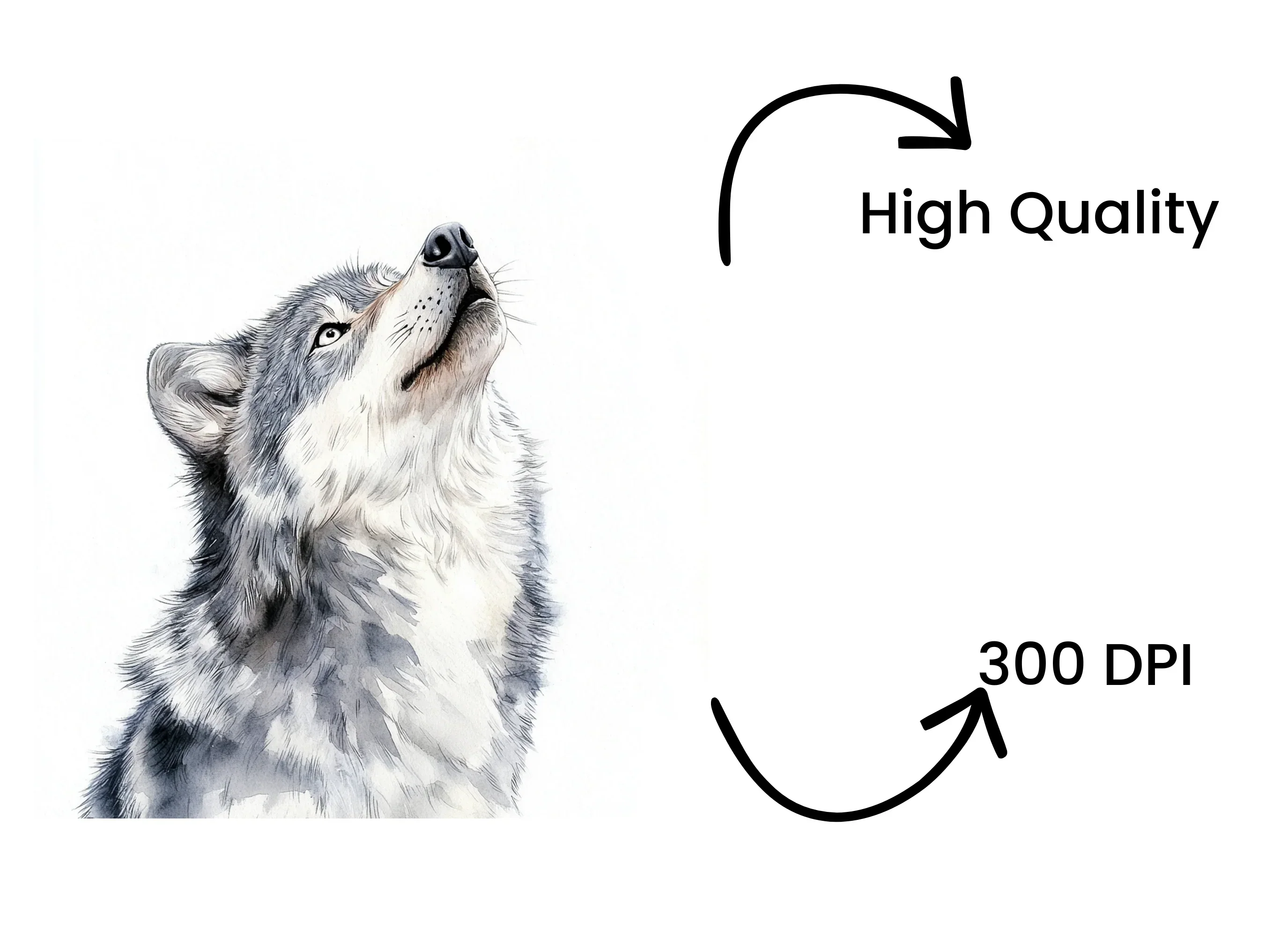 Howling Gray Wolf Clipart Bundle - Image 4