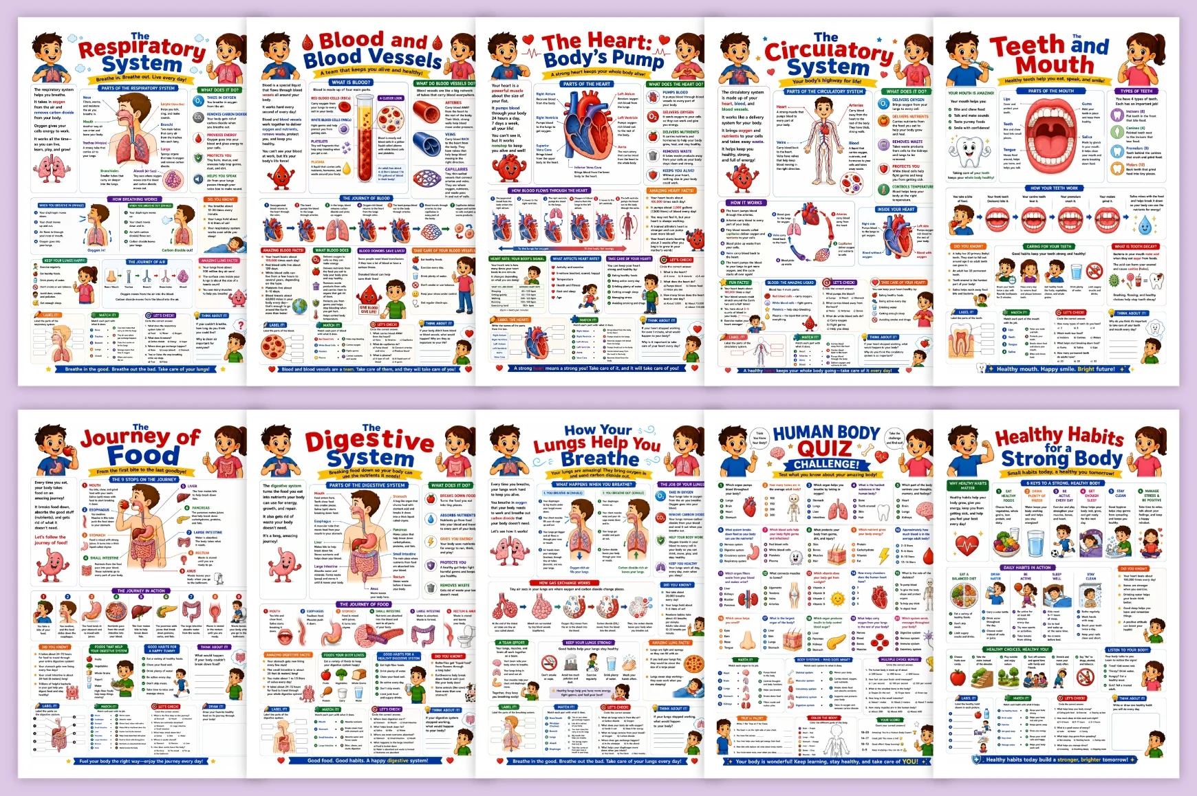 Human Body Adventure For Kids - Image 3