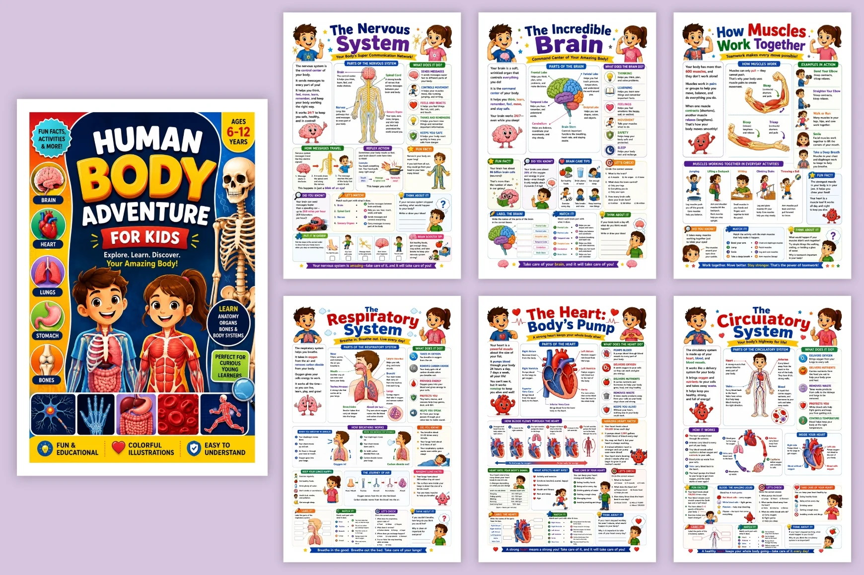 Human Body Adventure For Kids - Image 5