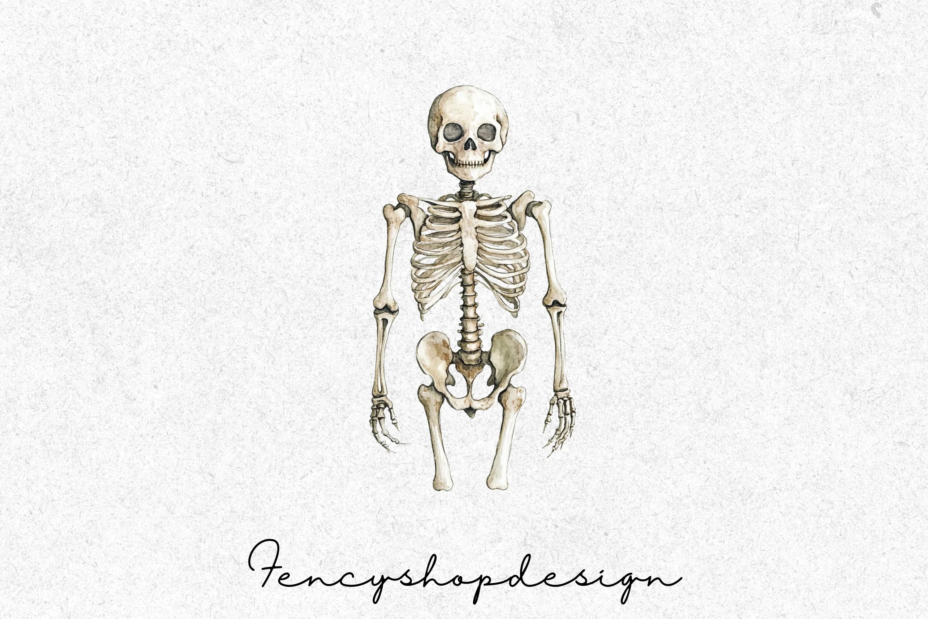 Human Dinosaur Skeleton Clipart Bundle - Image 7