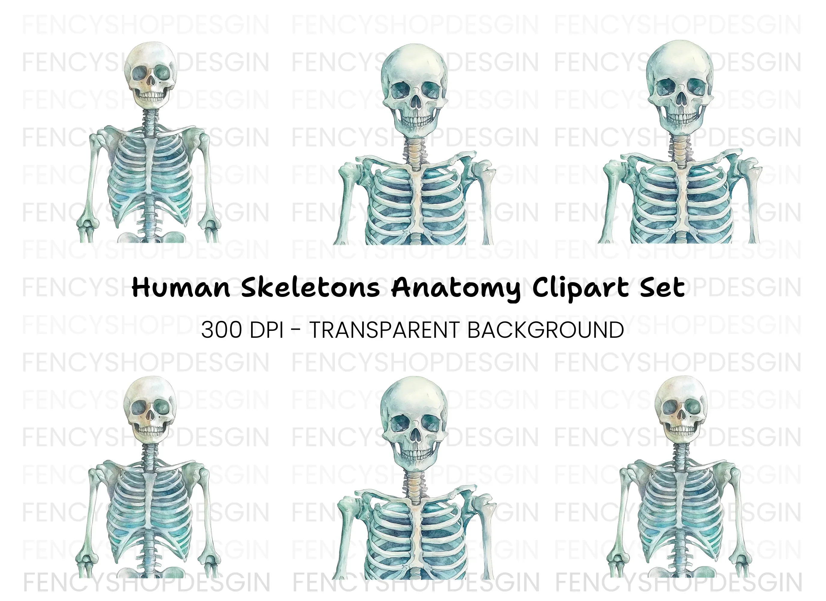 Human Skeleton Clipart Bundle
