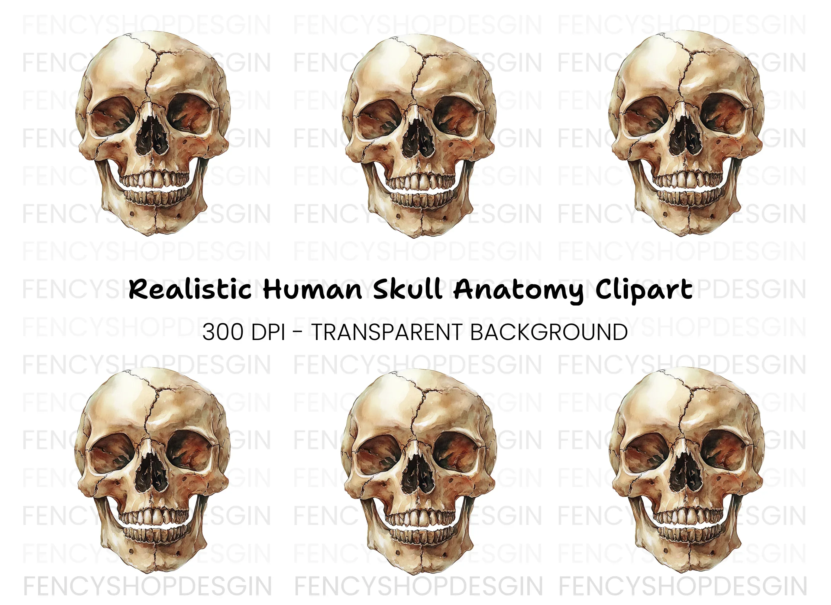 Human Skull Clipart Bundle