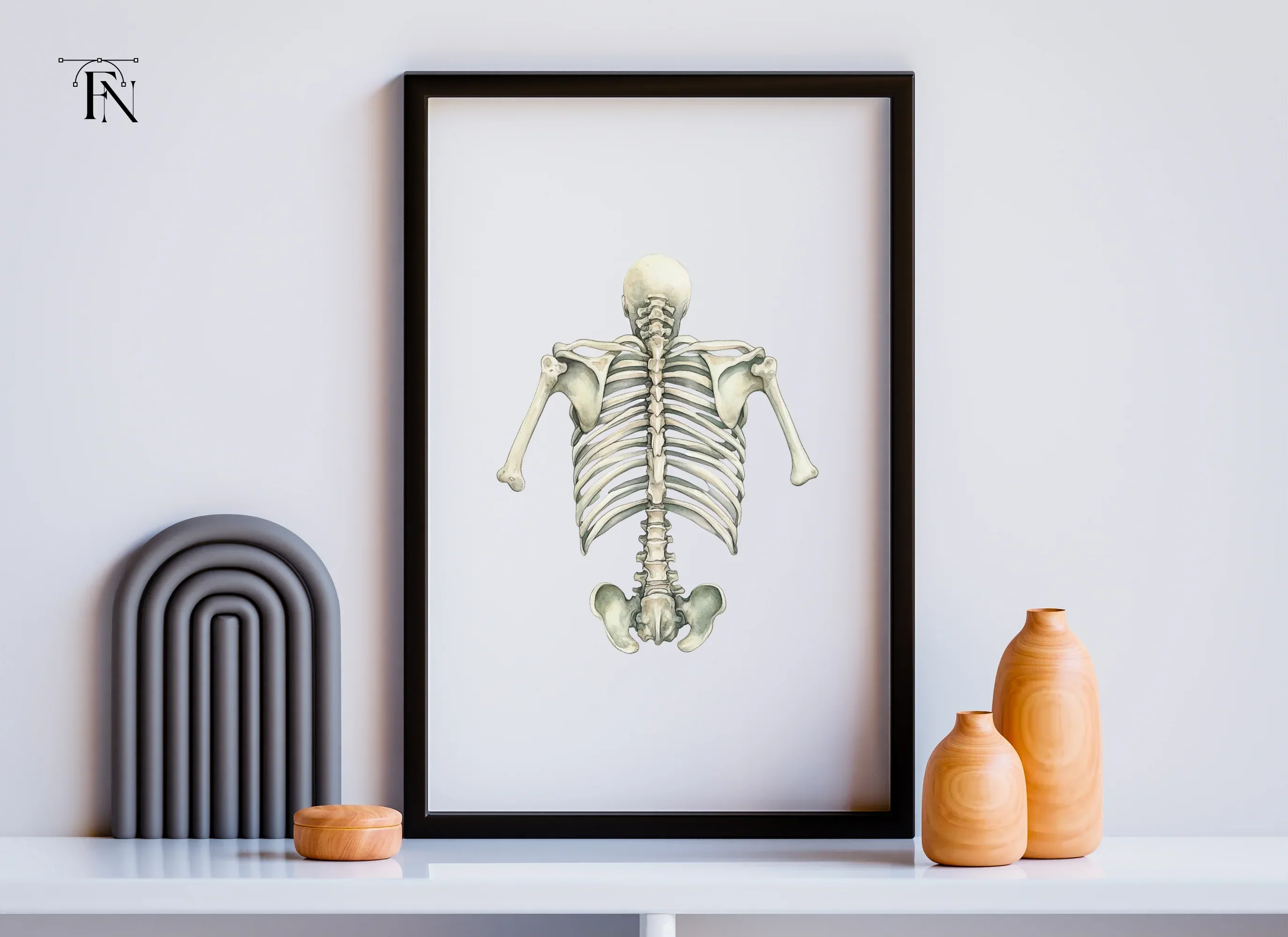 Human Torso Skeleton Back View Clipart Bundle - Image 3