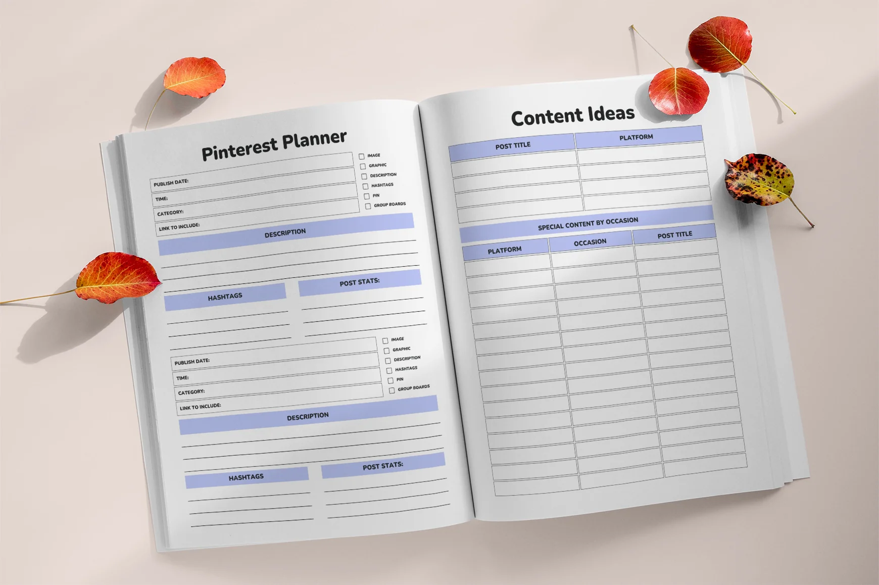 Influencer Social Media Strategy Planner - Image 4
