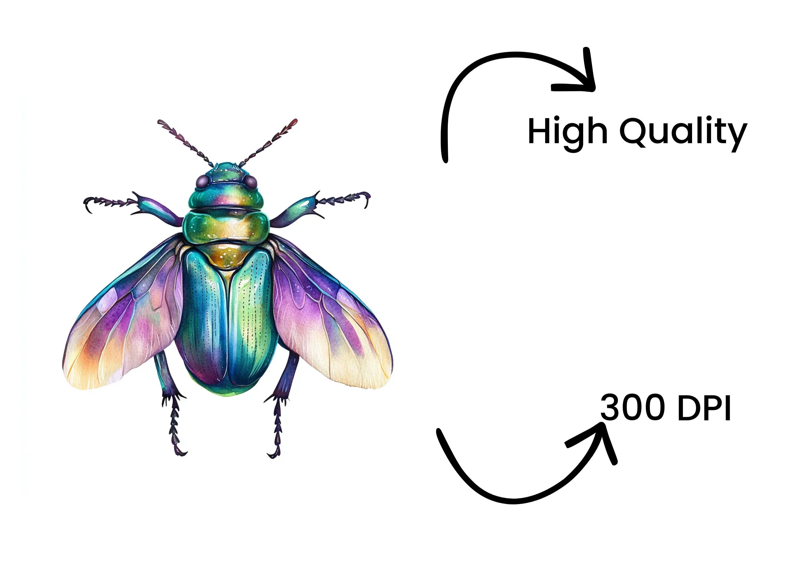 Iridescent Jewel Beetle Clipart Bundle - Image 4