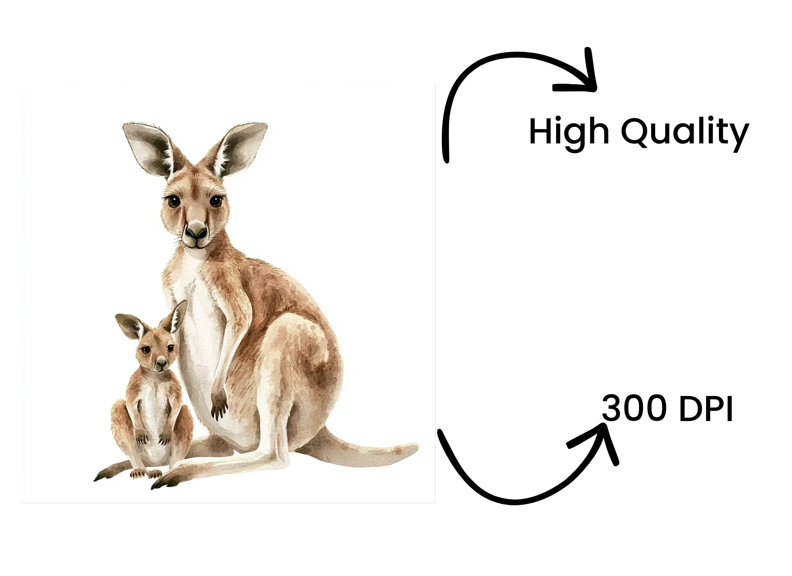 Kangaroo and Joey Clipart Bundle - Image 4
